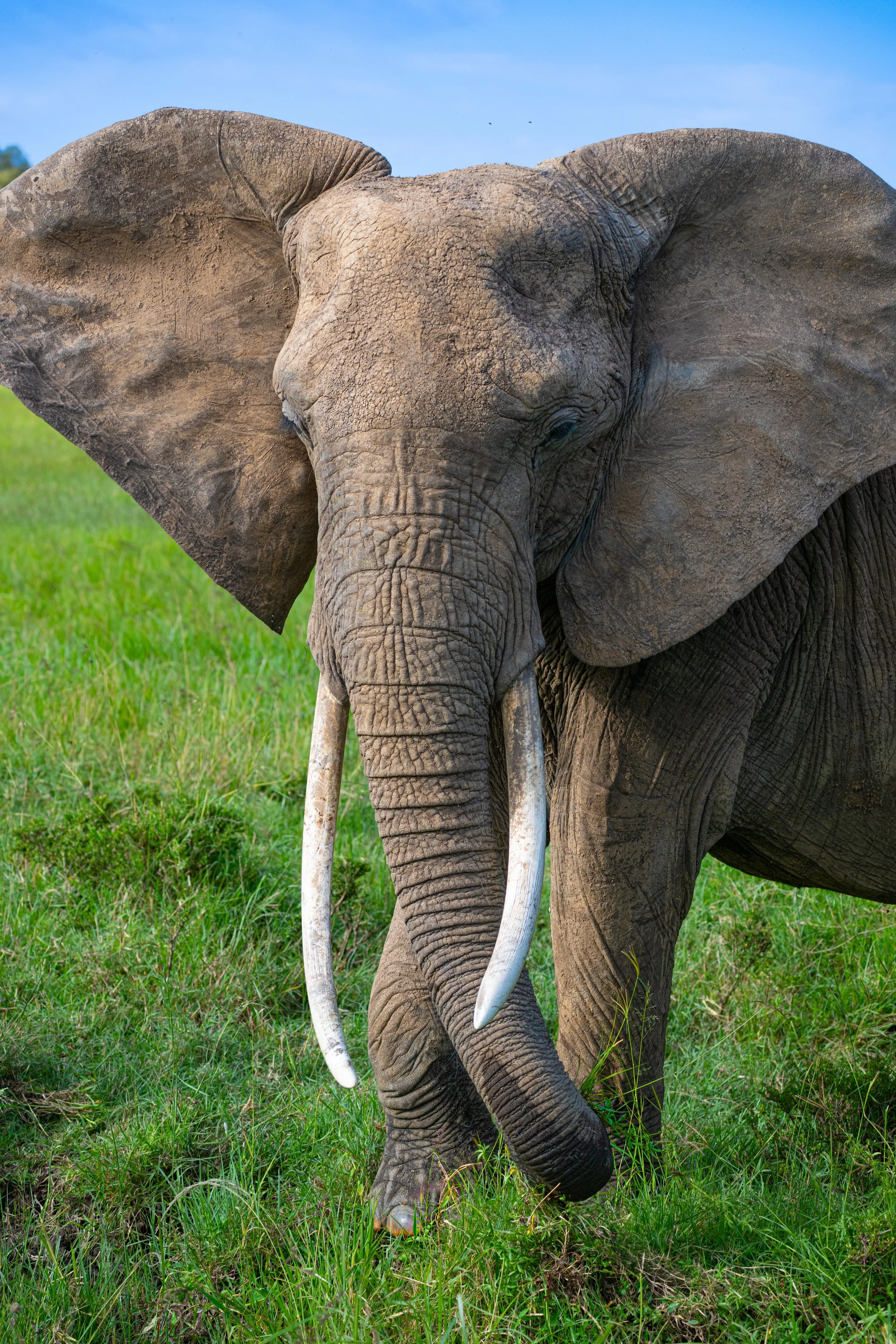 Africa2026VZ8_49652026.jpg