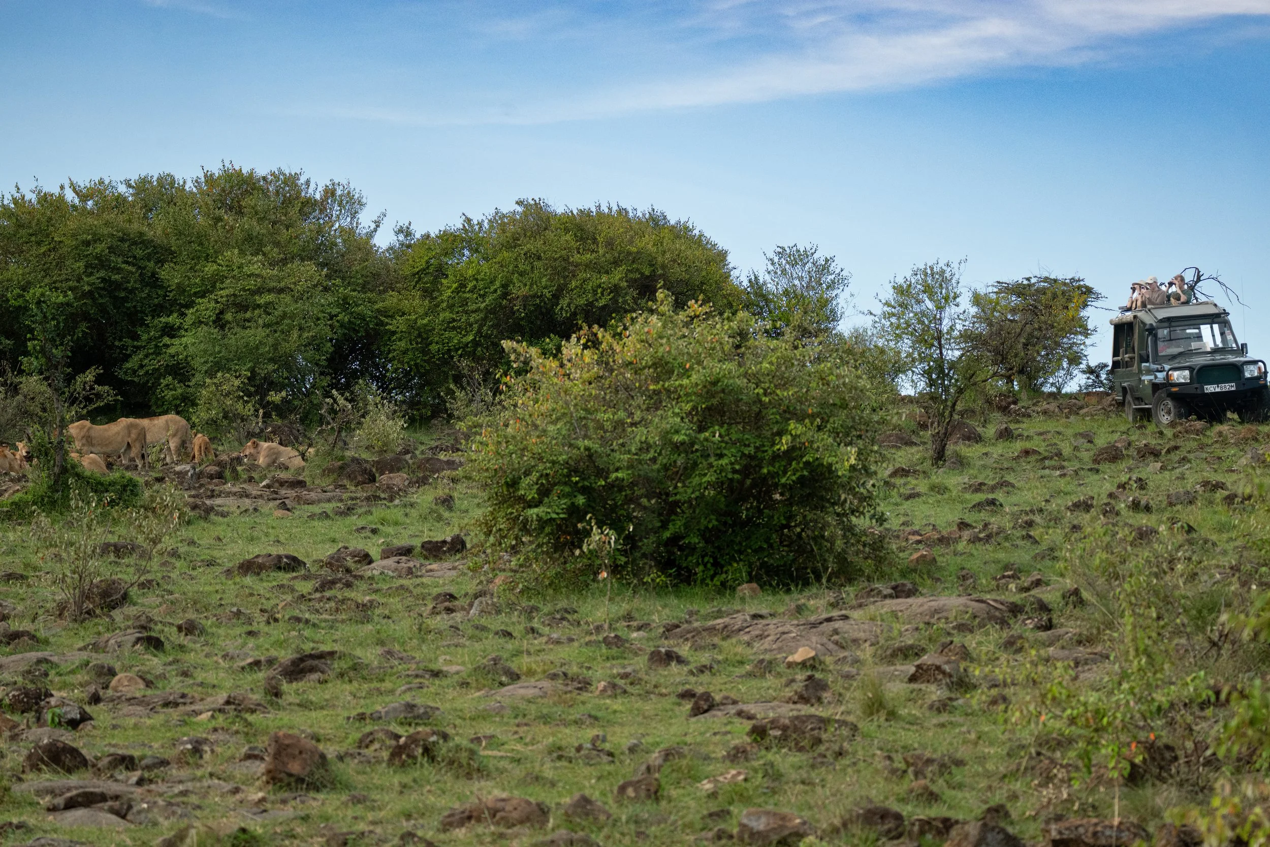 Africa2026VZ8_32712026.jpg