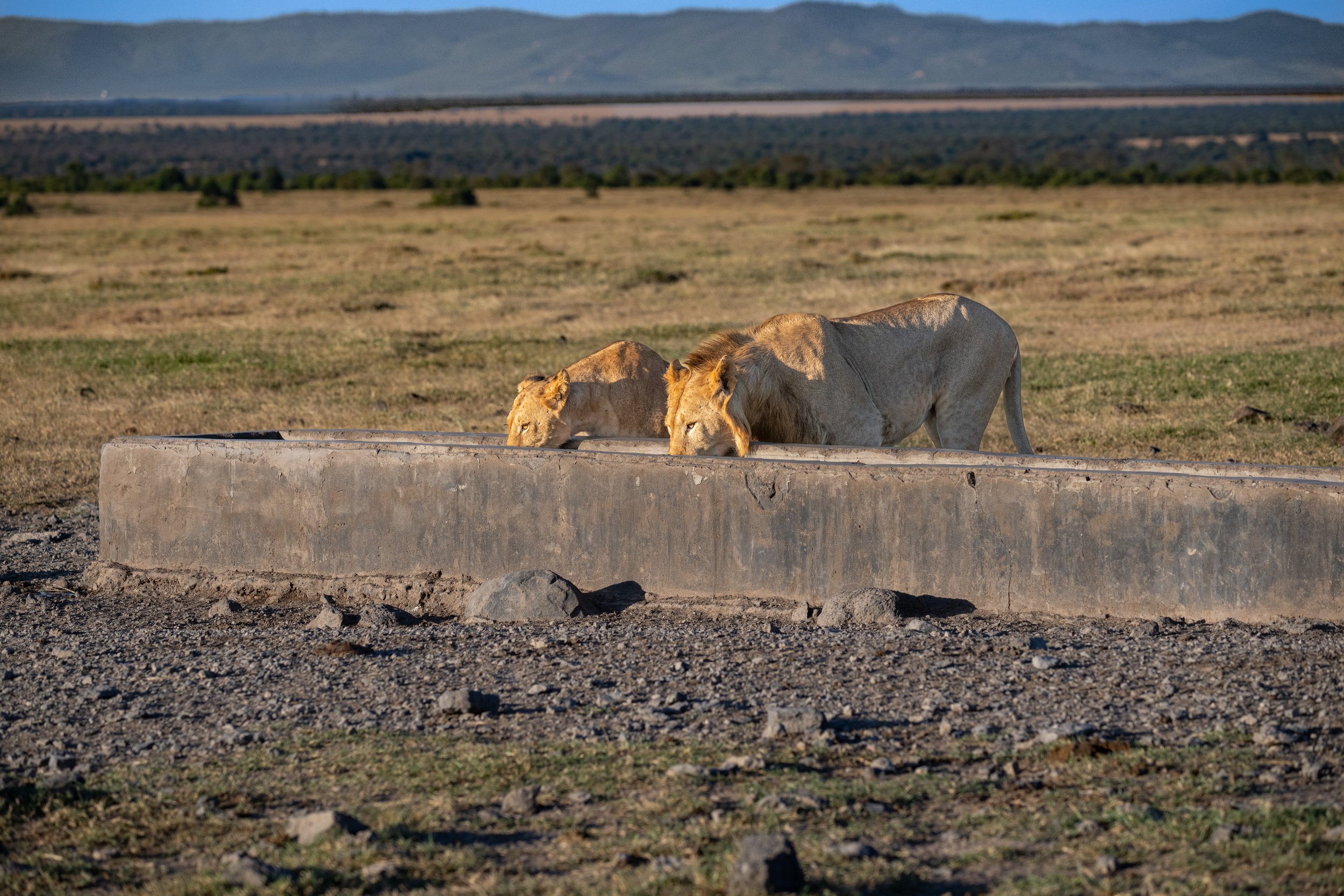 Africa2026VZ8_31042026.jpg