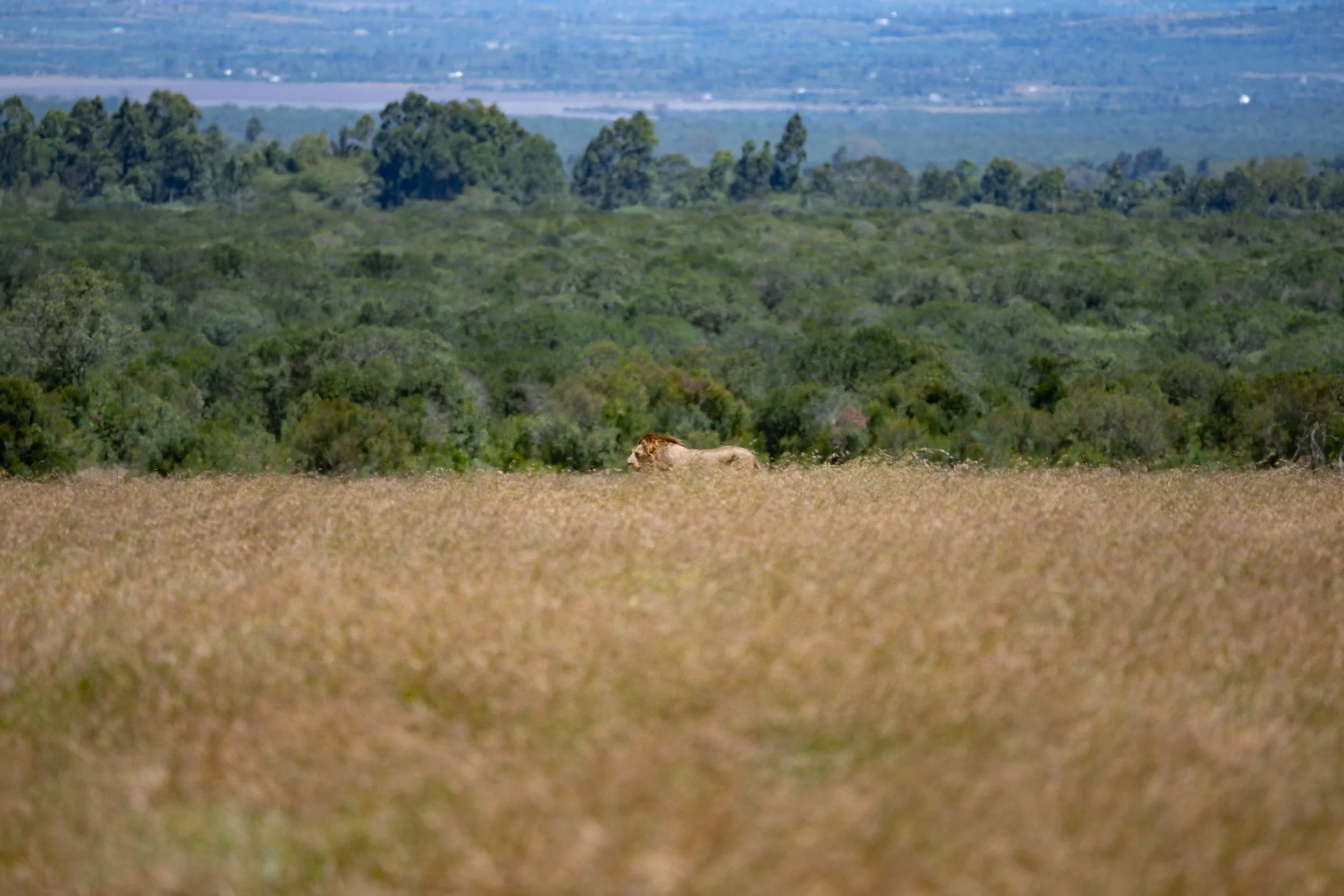 Africa2026Z81_10022026.jpg