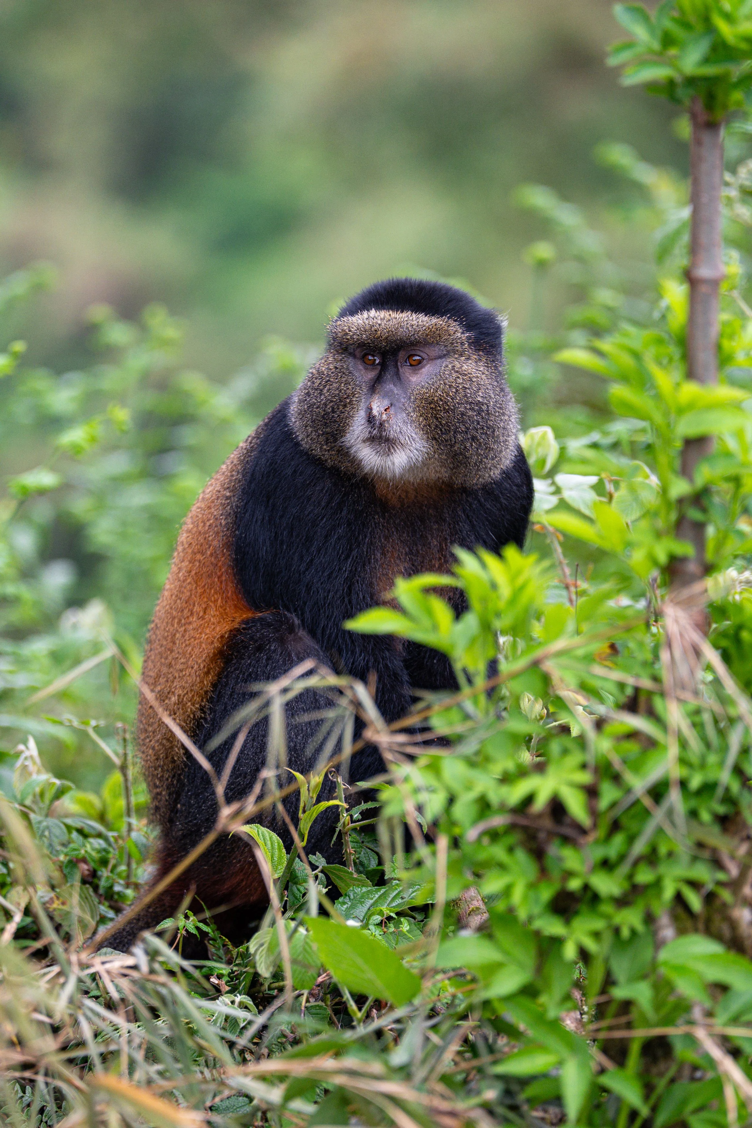 Africa2026DSC_63932026.jpg
