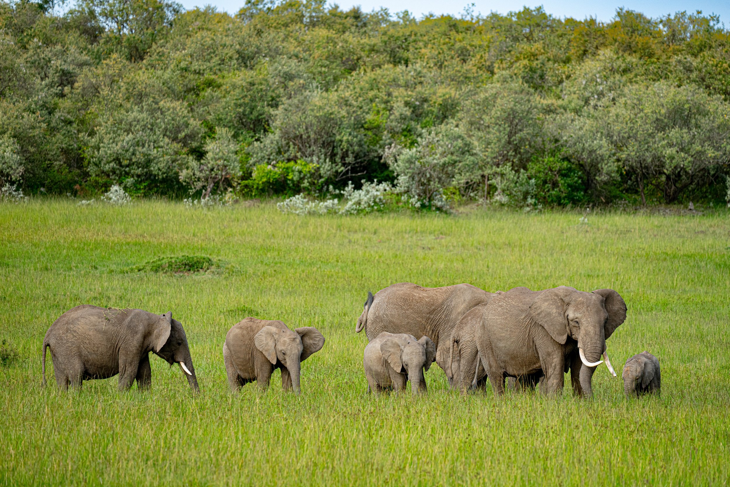 Africa2026VZ8_49092026.jpg