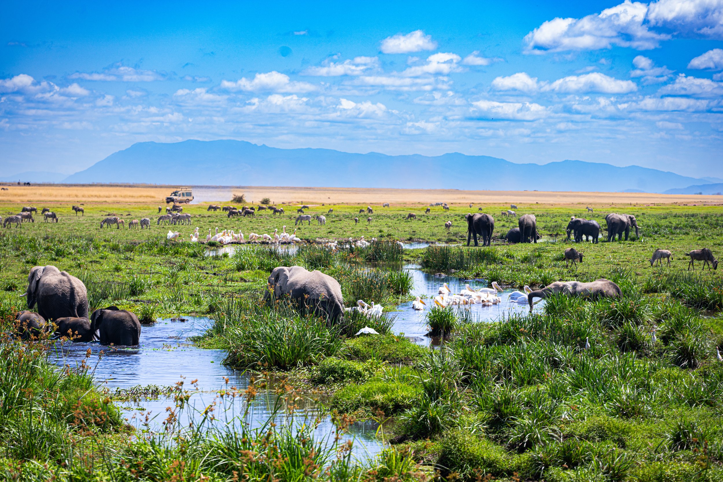 Africa2026VZ8_51692026.jpg