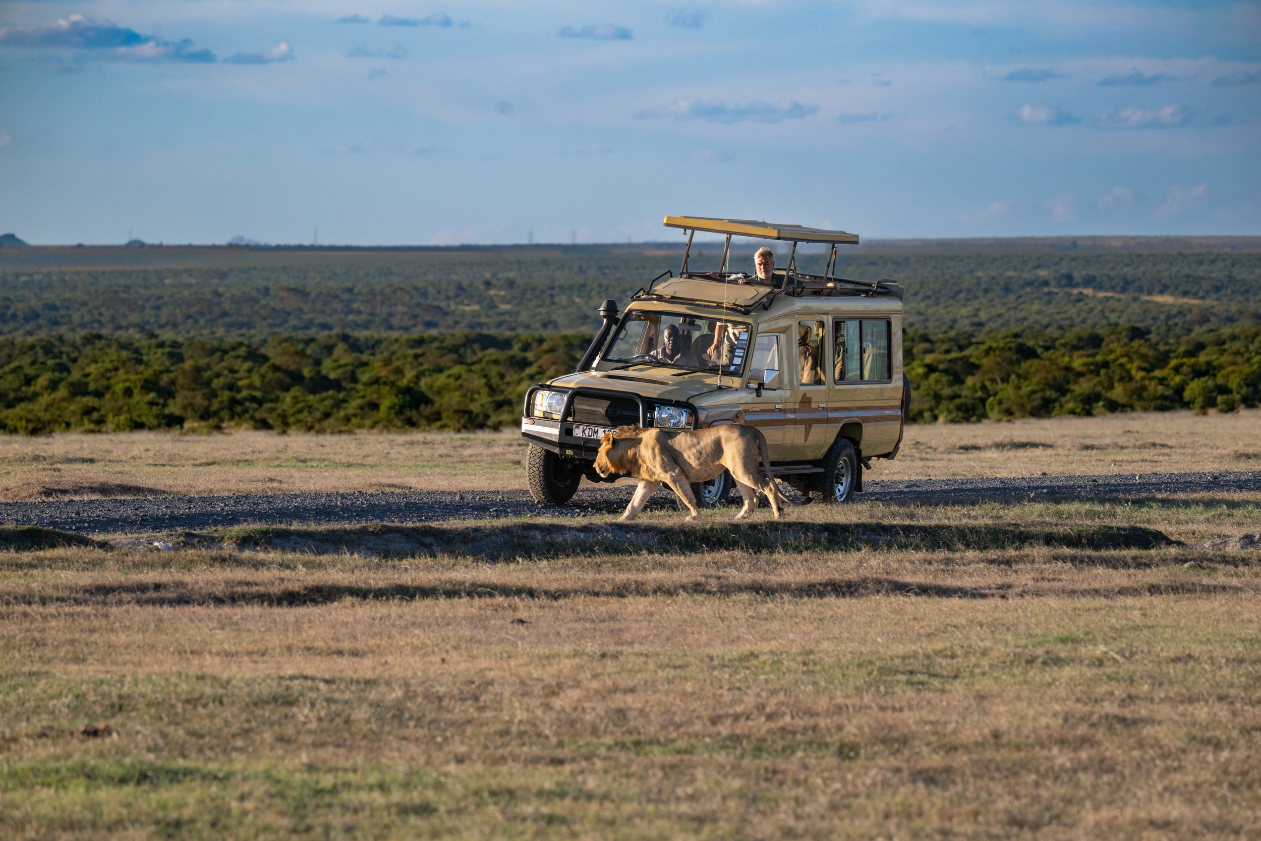 Africa2026VZ8_30982026.jpg