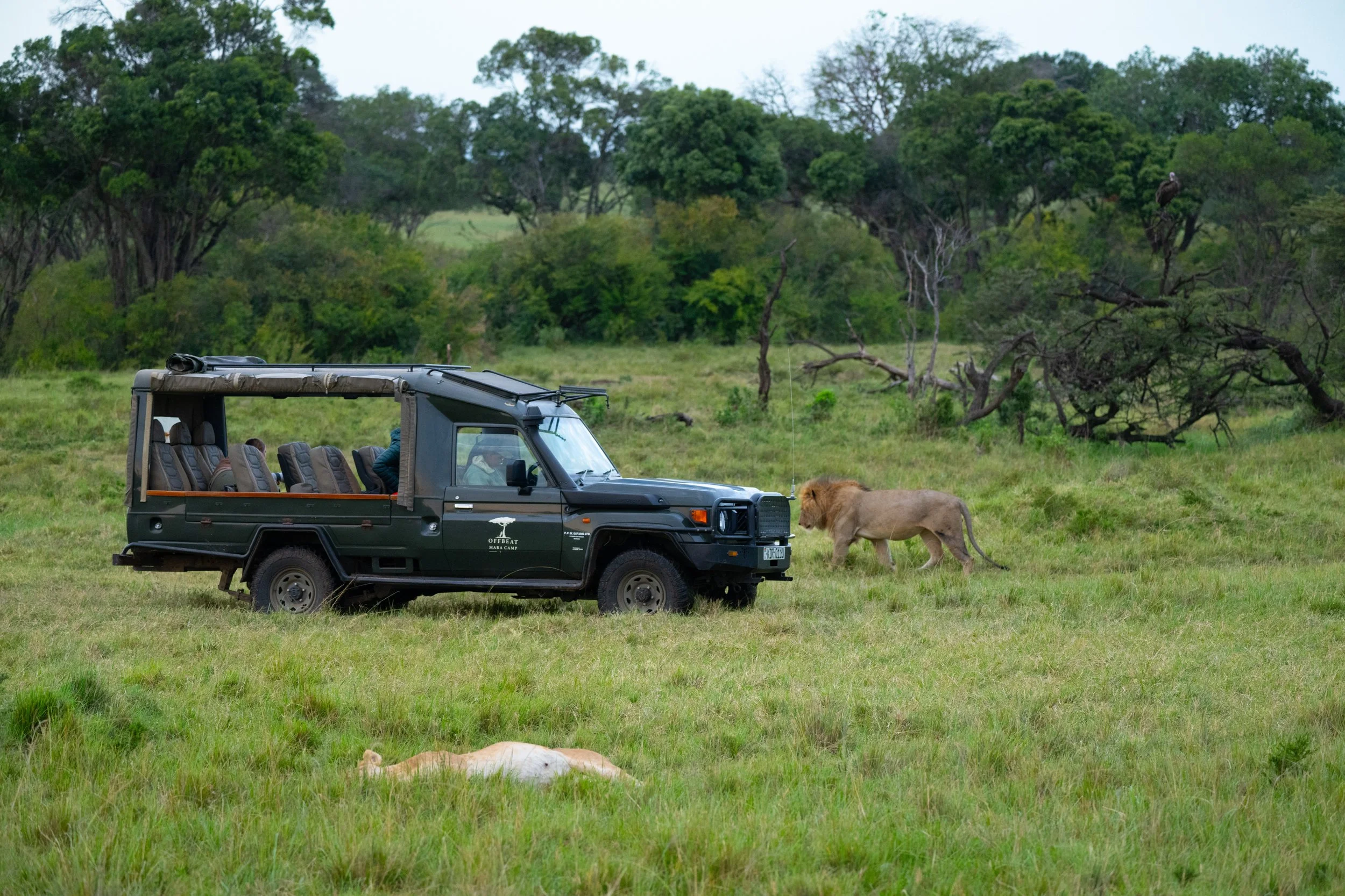 Africa2026VZ8_44962026.jpg