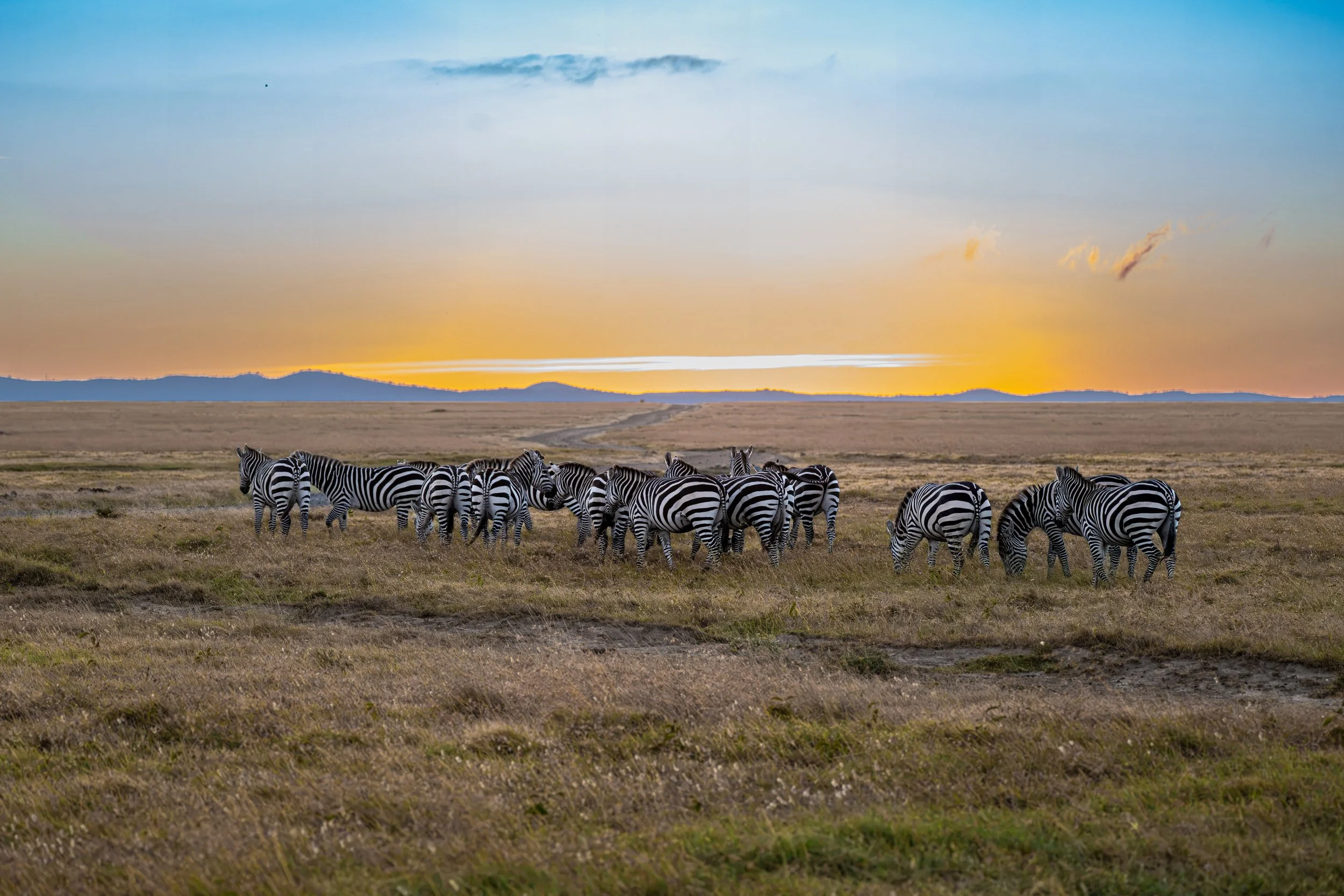 Africa2026VZ8_15442026.jpg