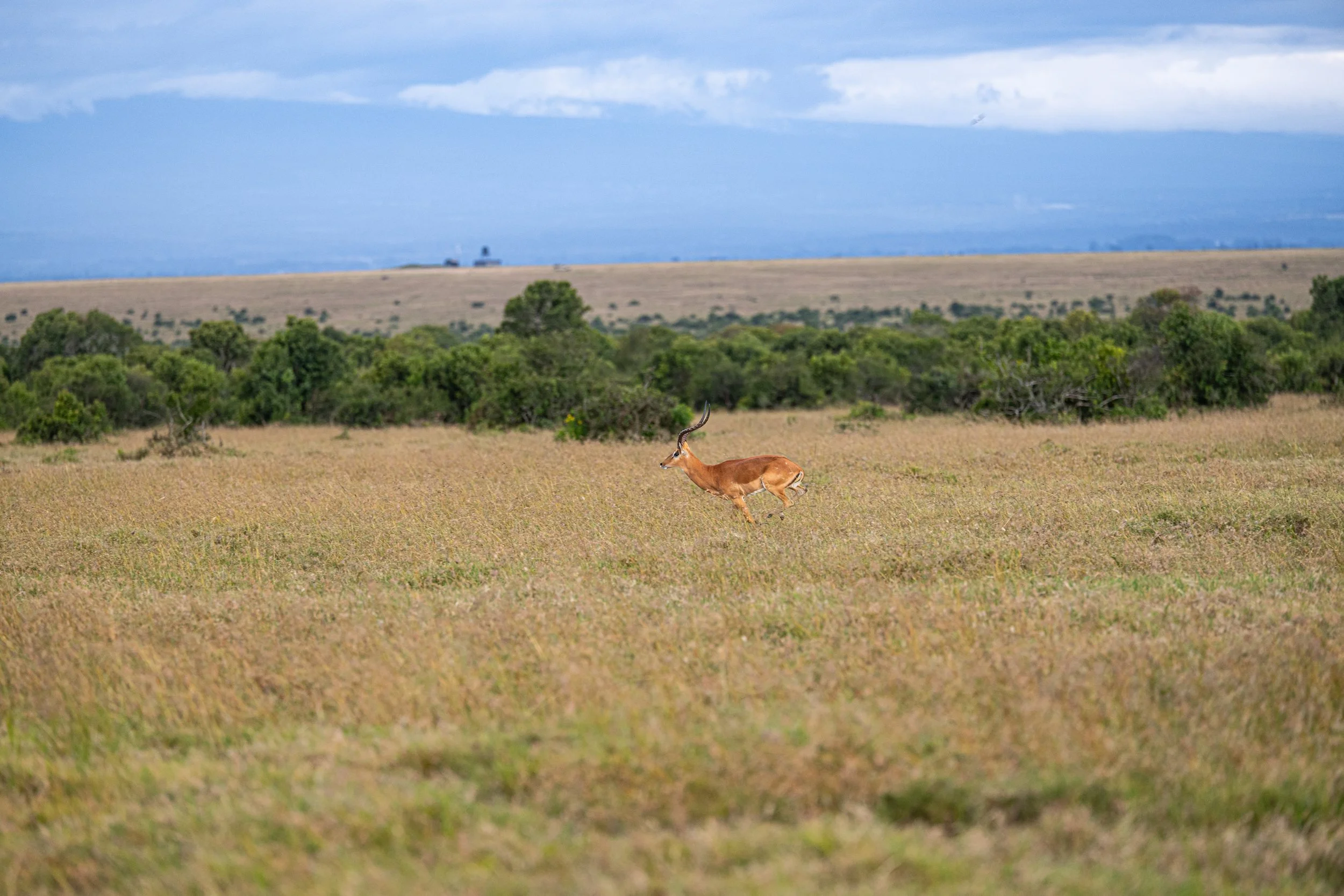 Africa2026Z81_22362026.jpg