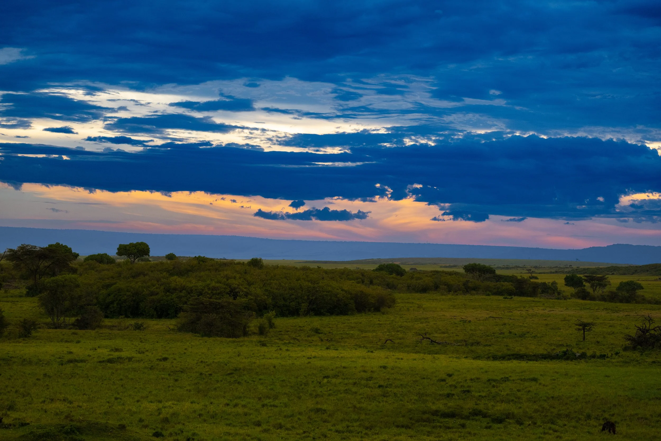 Africa2026VZ8_33492026.jpg