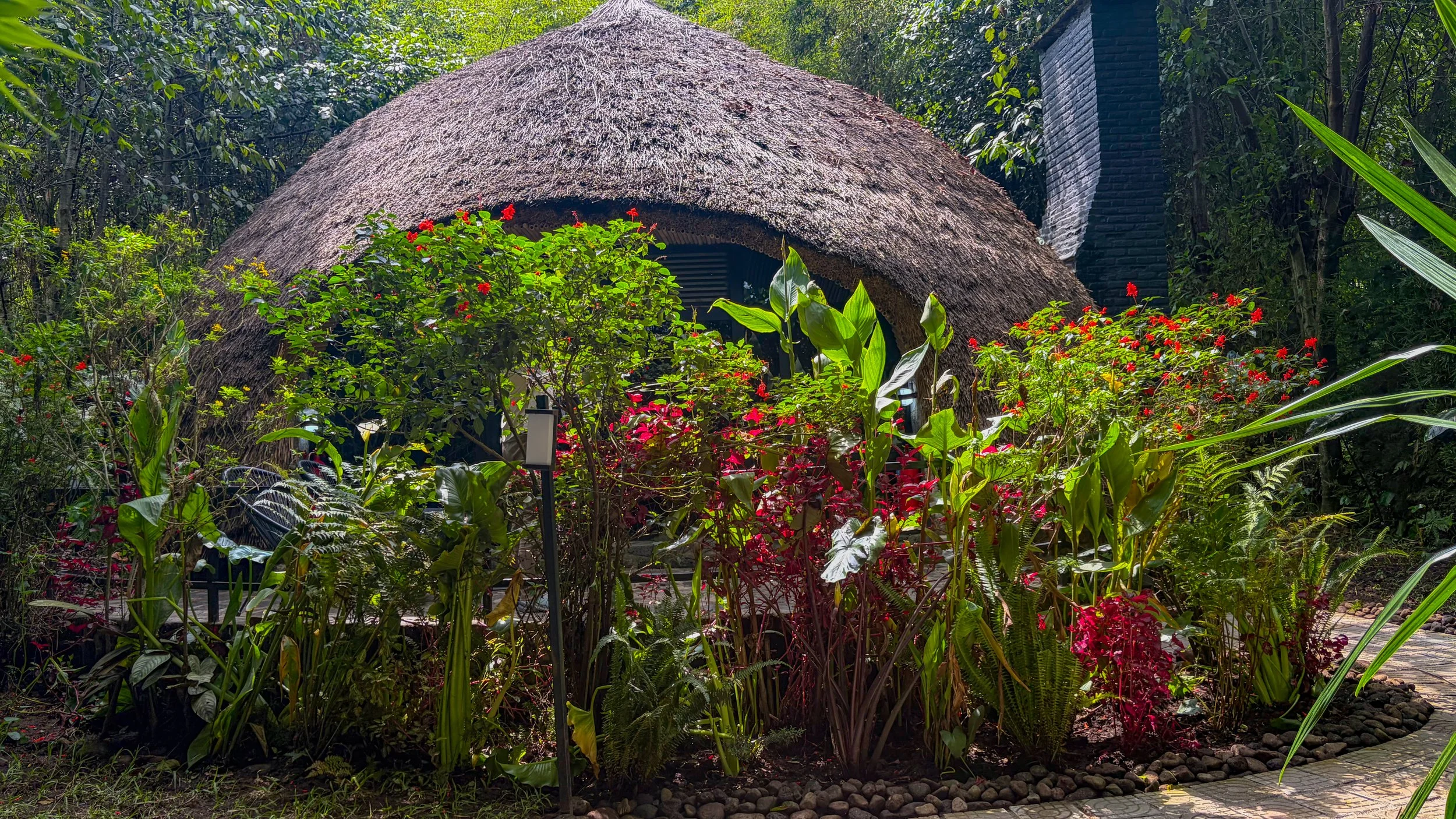 20260611-IMG_0847.jpg