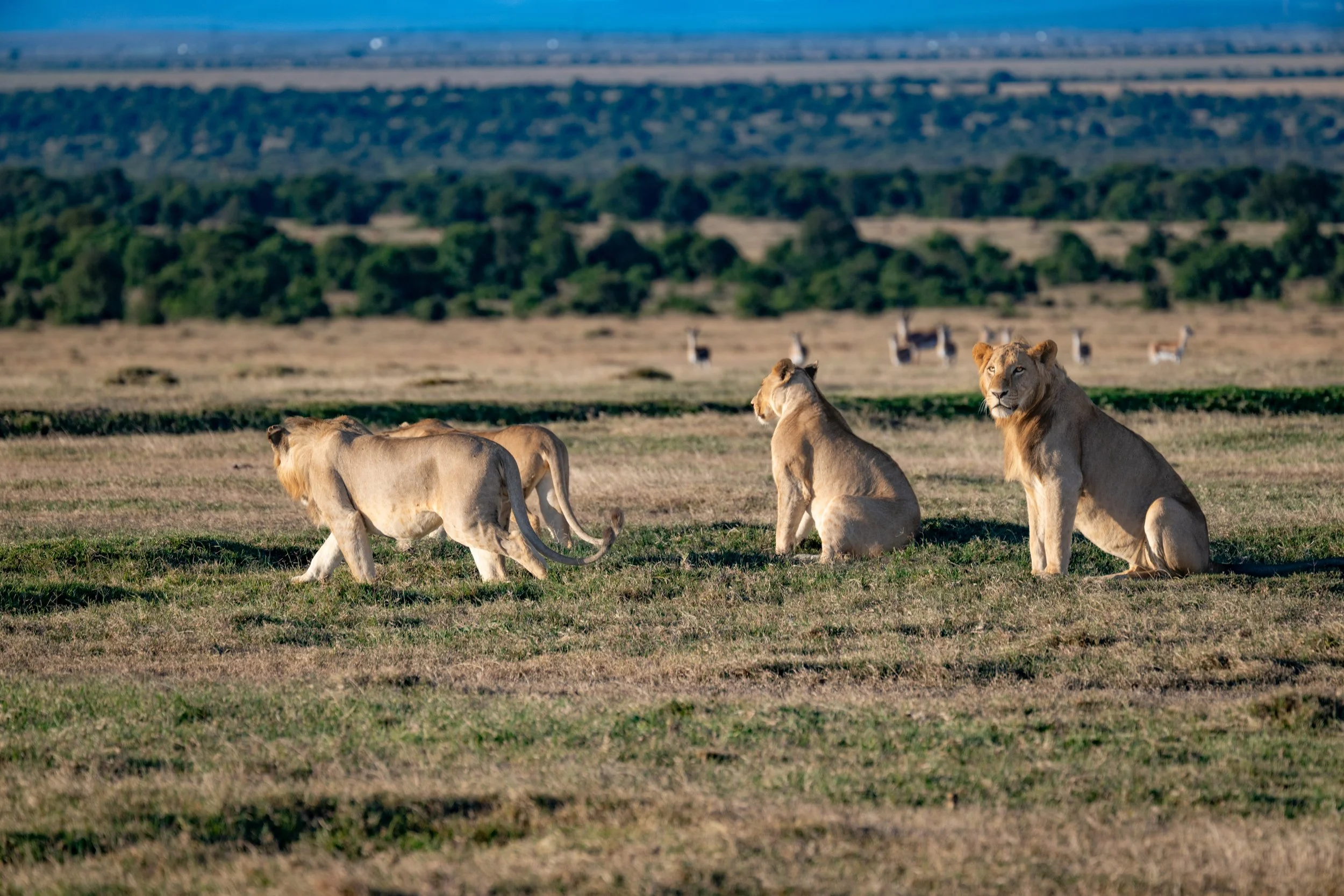 Africa2026VZ8_30952026.jpg