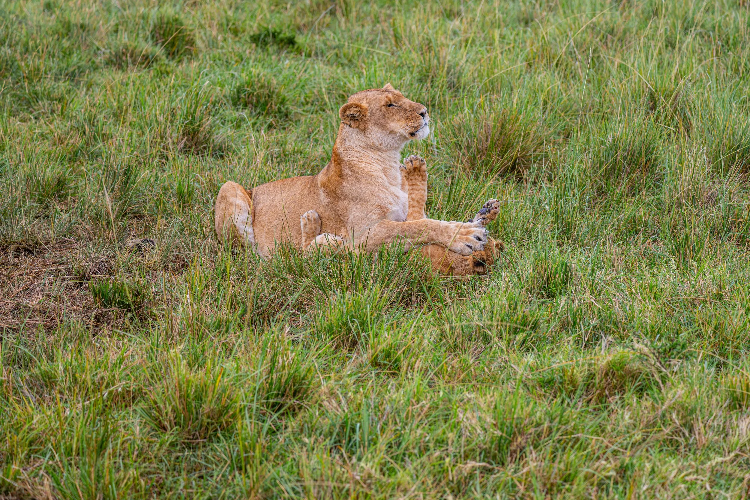 Africa2026VZ8_45592026.jpg