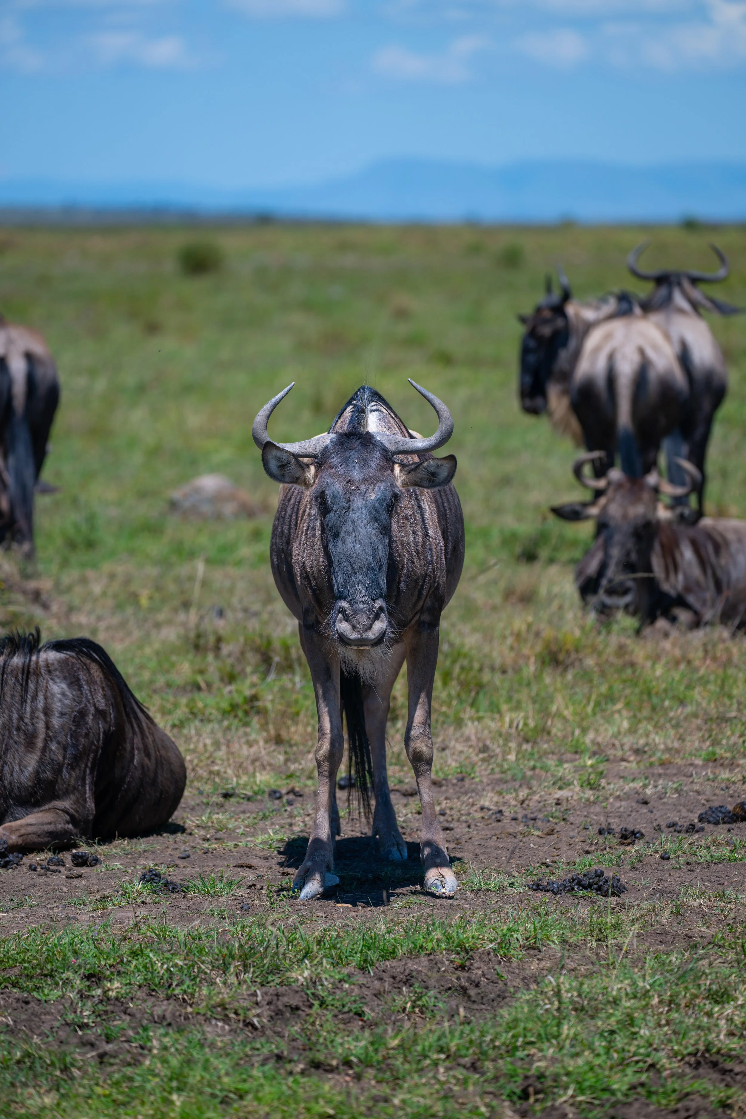 Africa2026VZ8_32222026.jpg