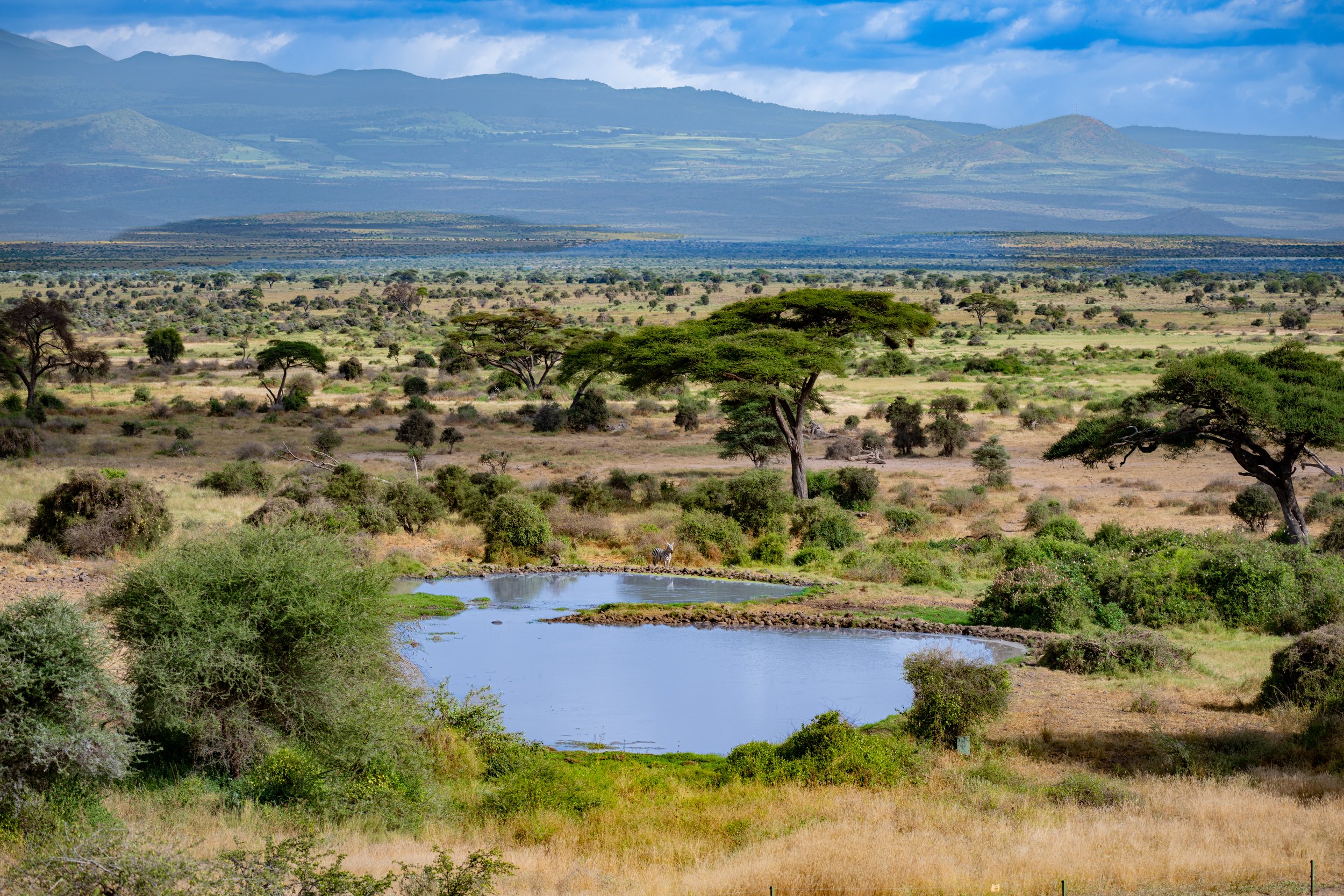 Africa2026VZ8_51772026.jpg