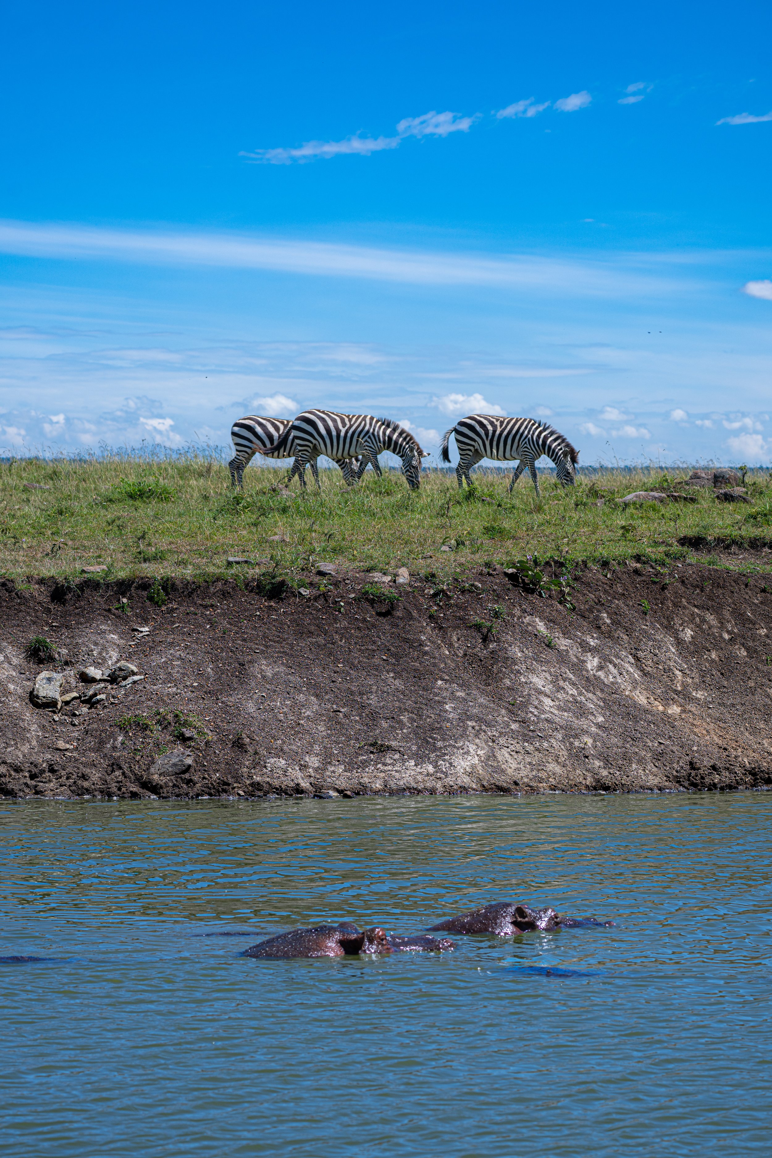 Africa2026Z81_43062026.jpg
