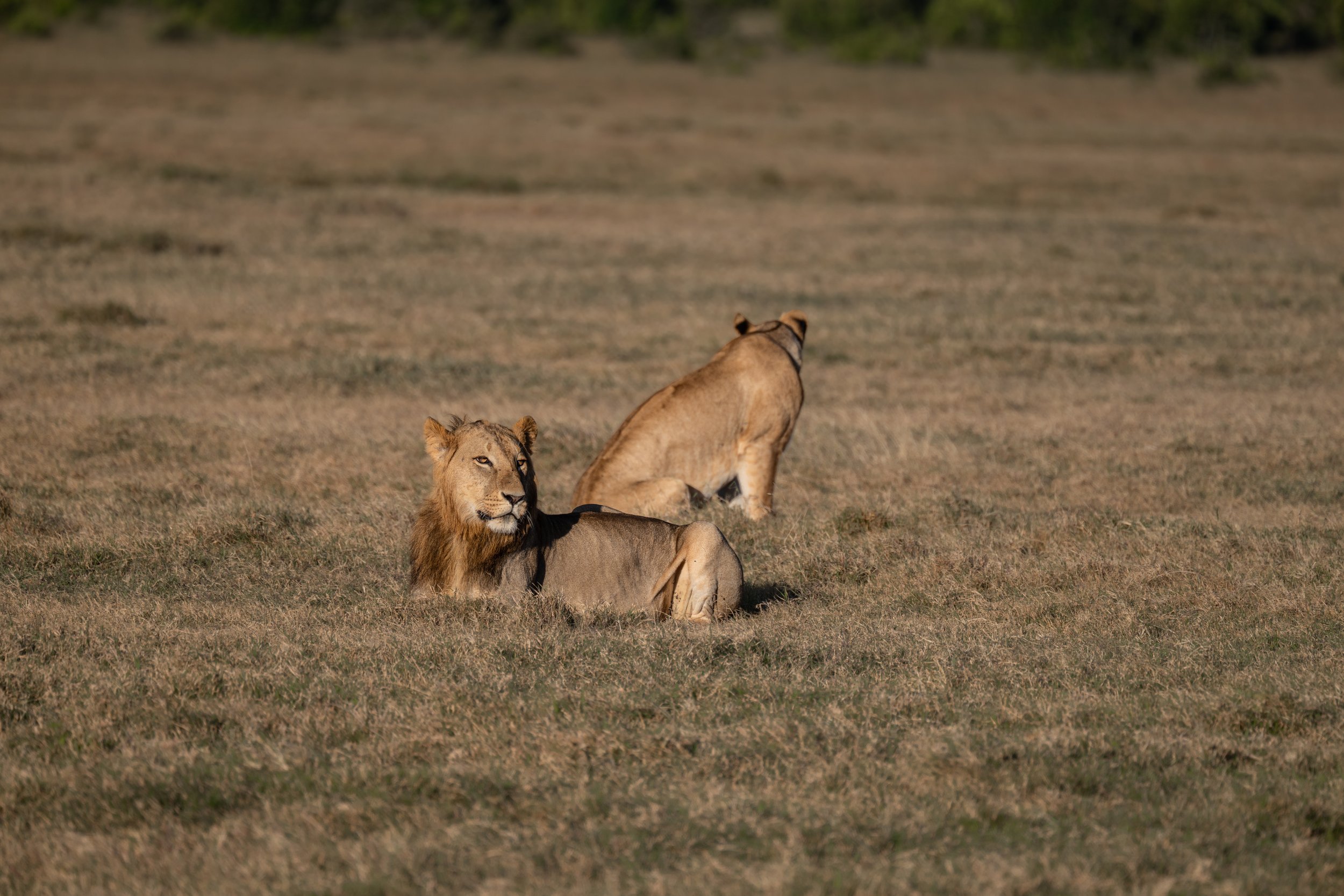 Africa2026VZ8_30882026.jpg