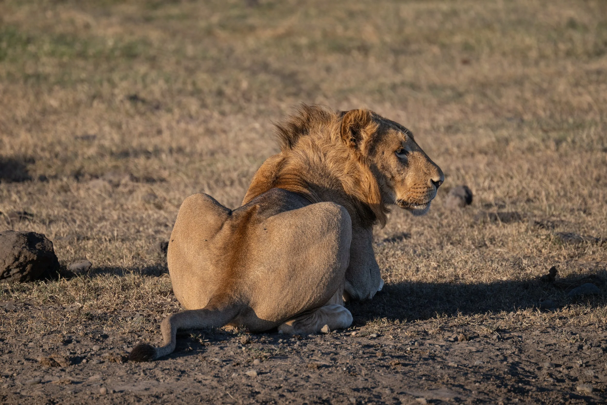 Africa2026VZ8_31272026.jpg