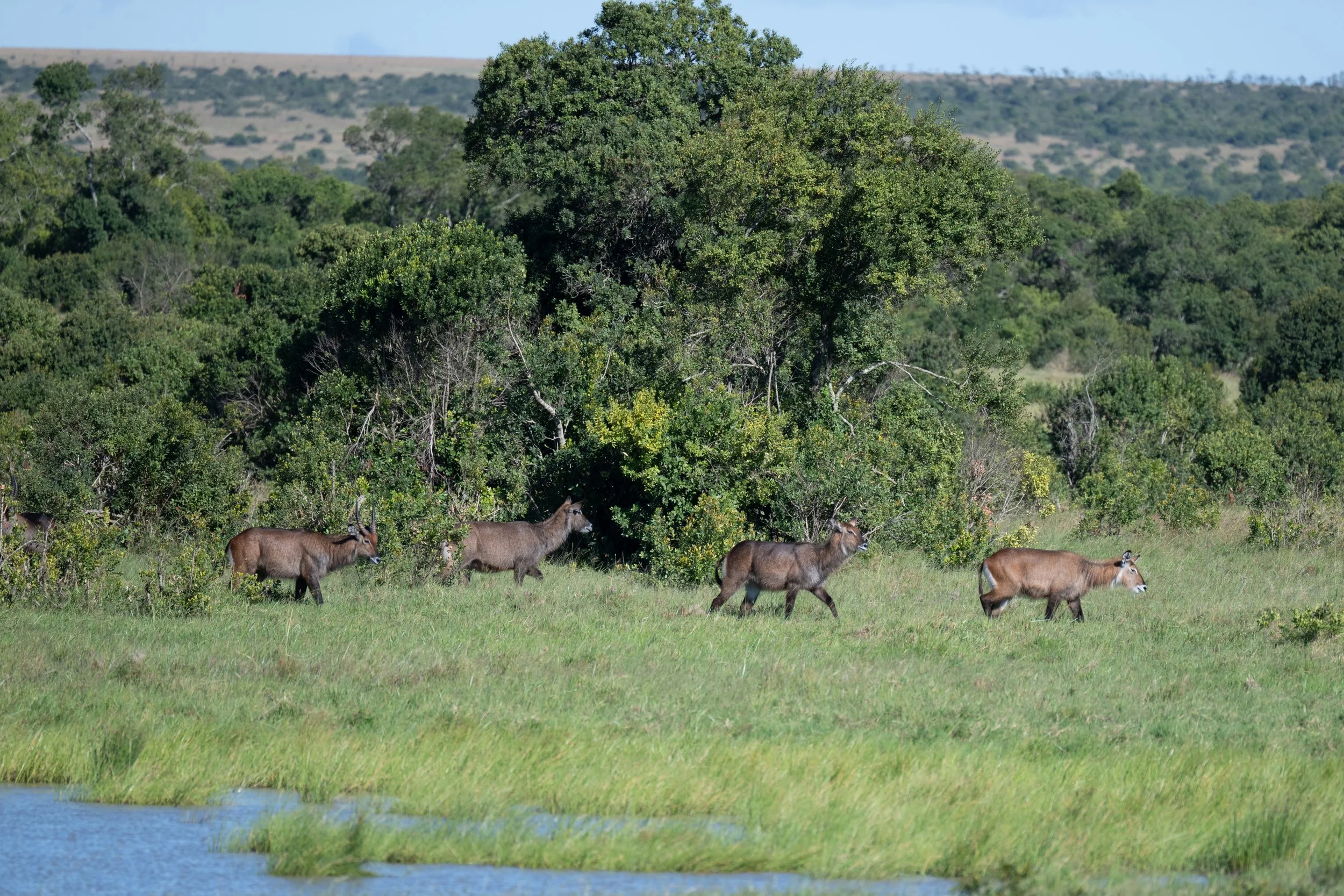 Africa2026VZ8_24562026.jpg