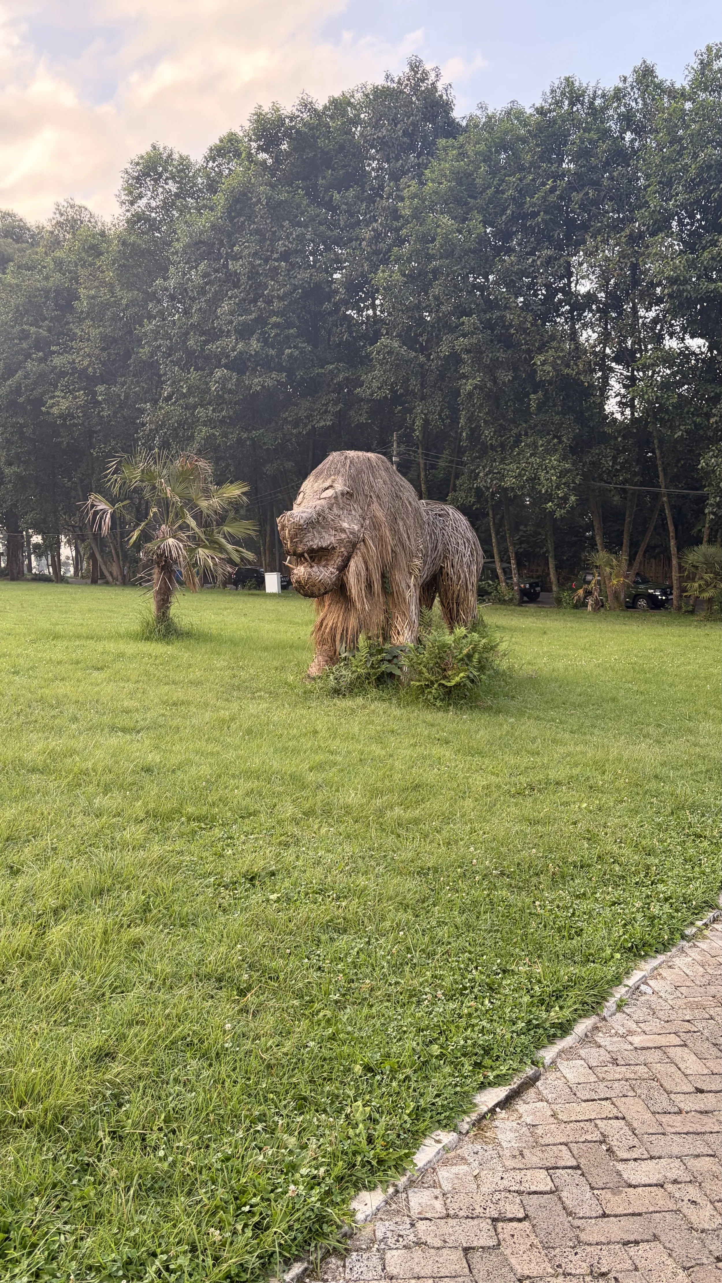 IMG_0952.jpeg