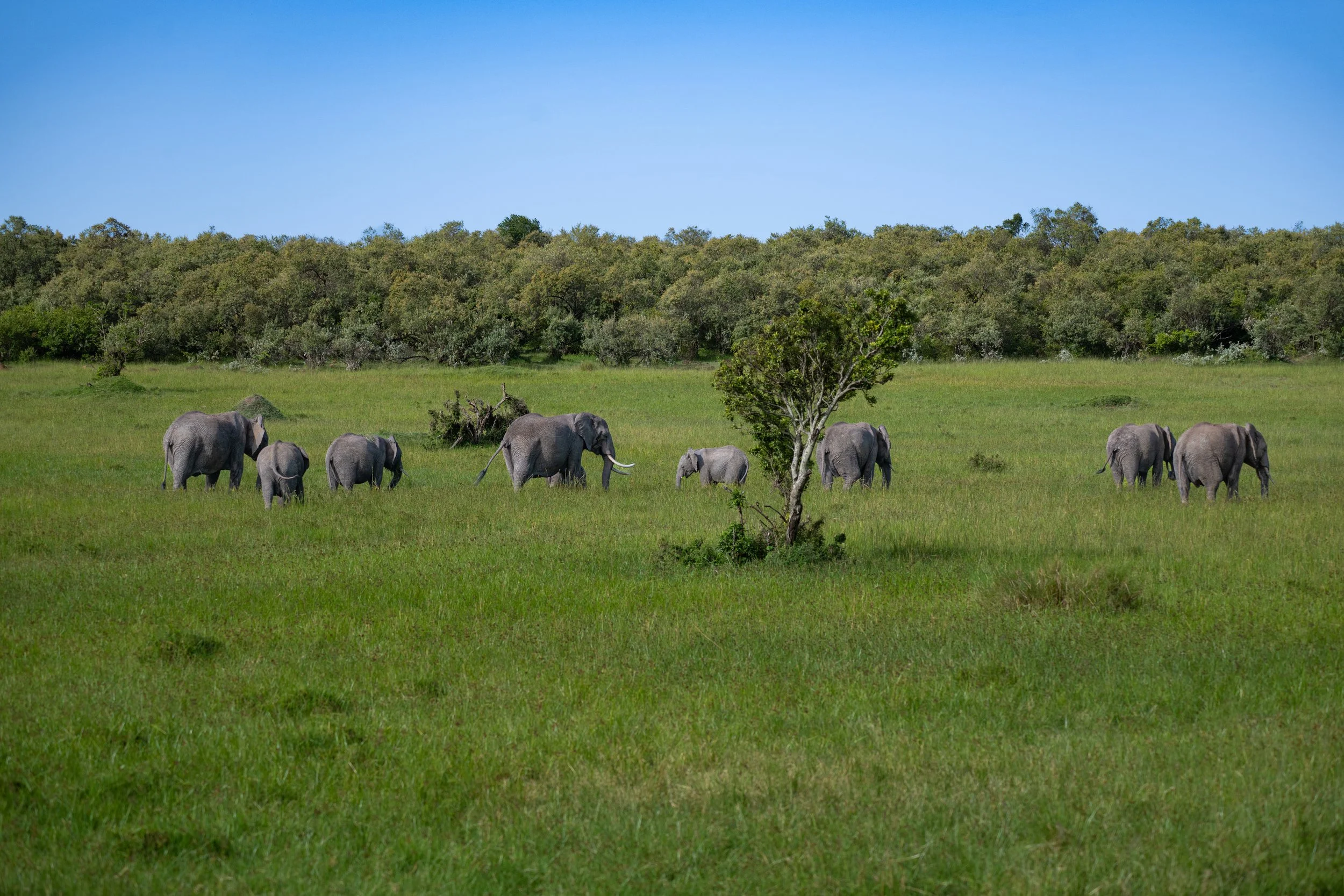 Africa2026VZ8_48842026.jpg