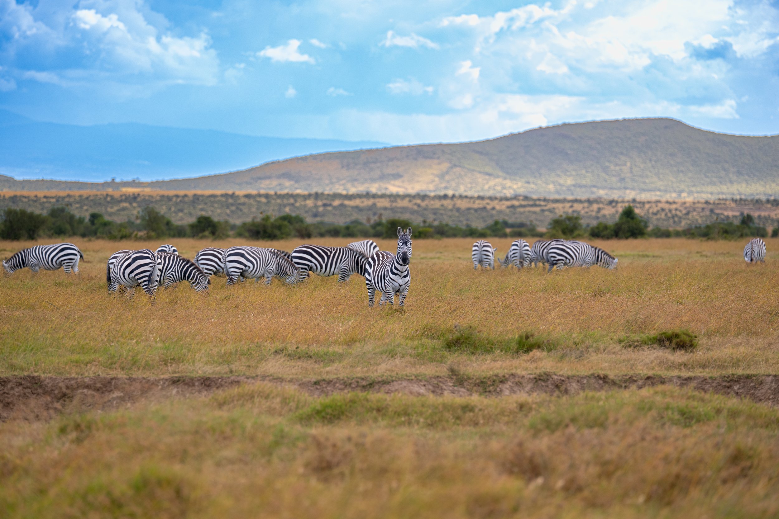 Africa2026Z81_21882026.jpg