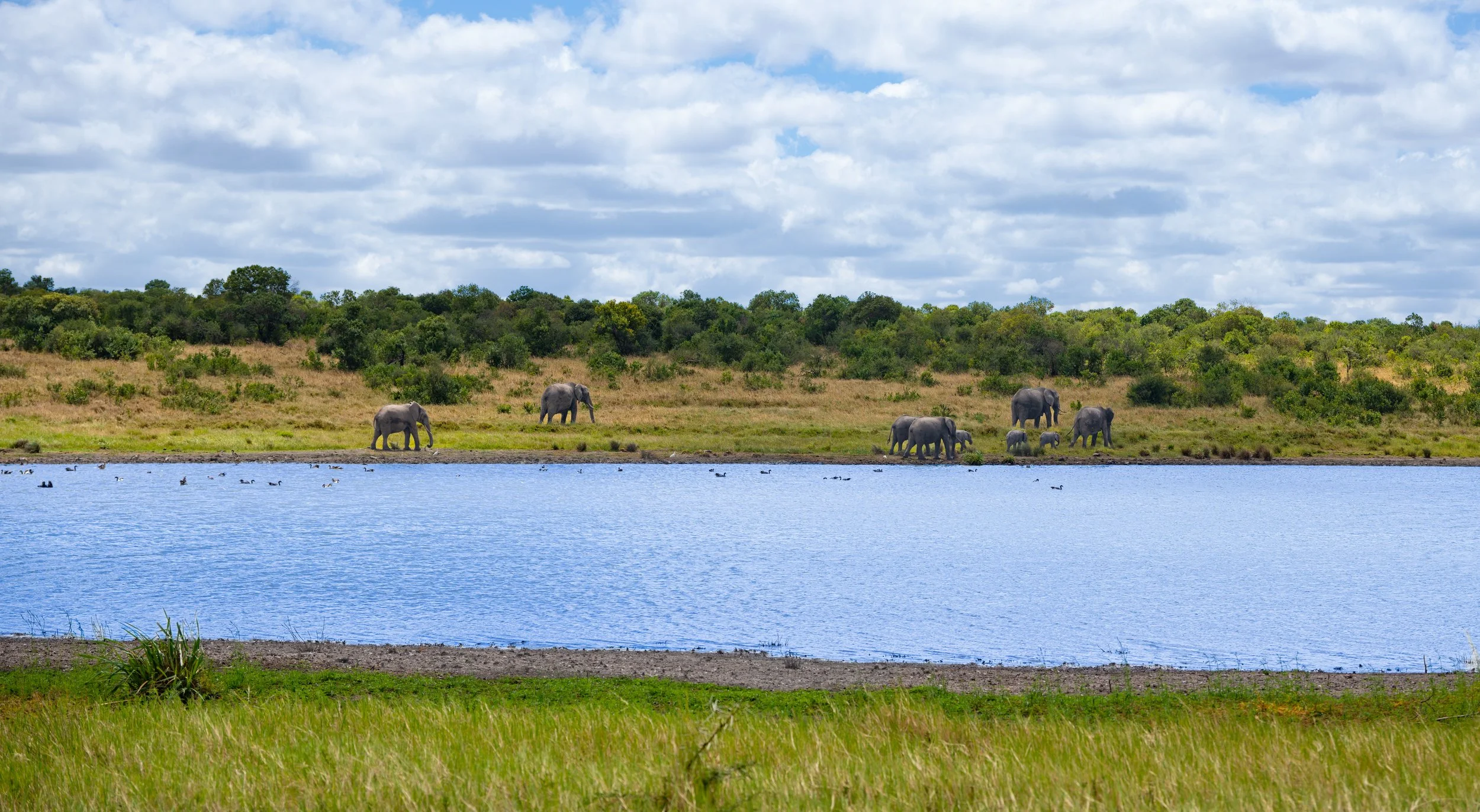 Africa2026VZ8_21492026.jpg