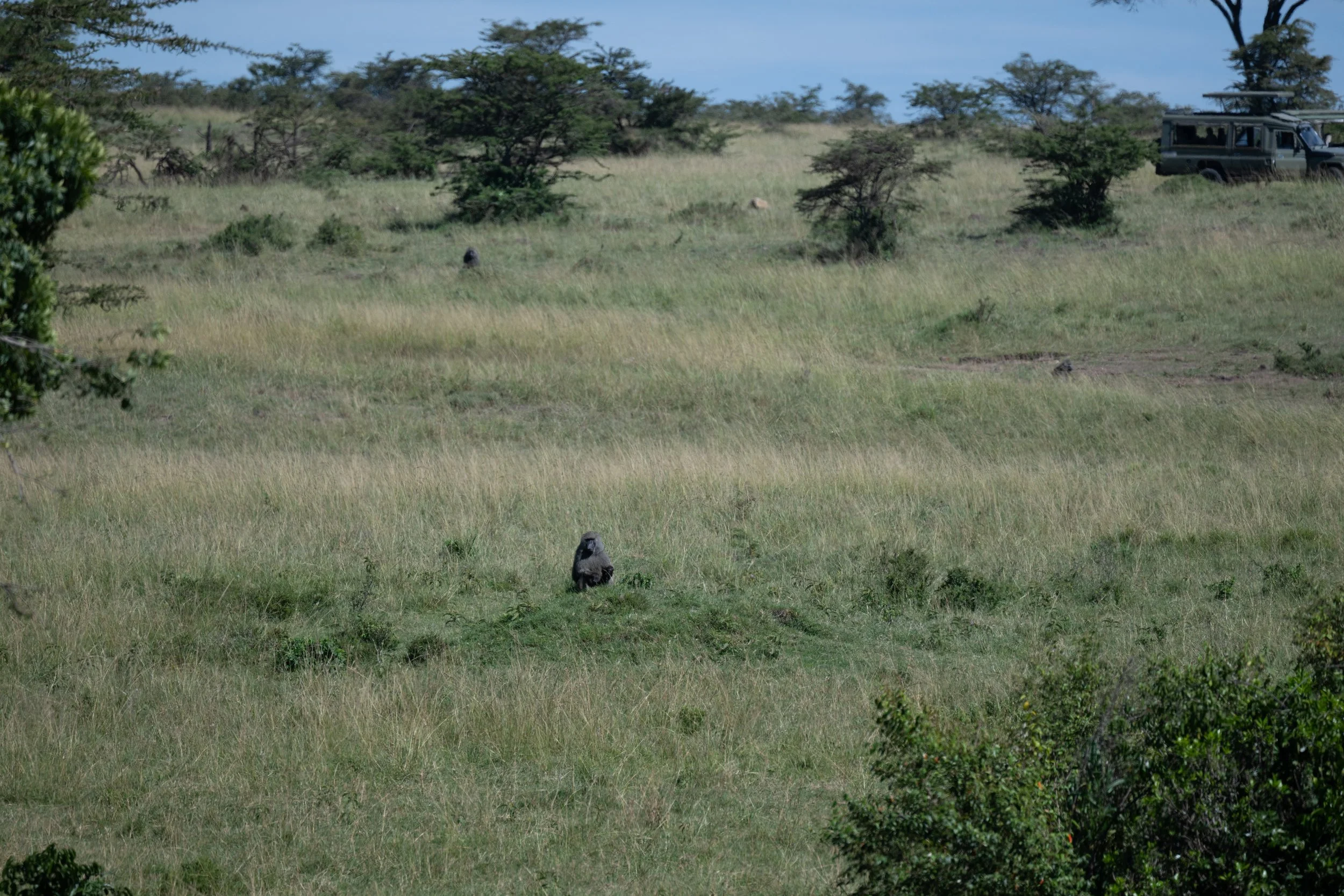 Africa2026DSC_41782026.jpg