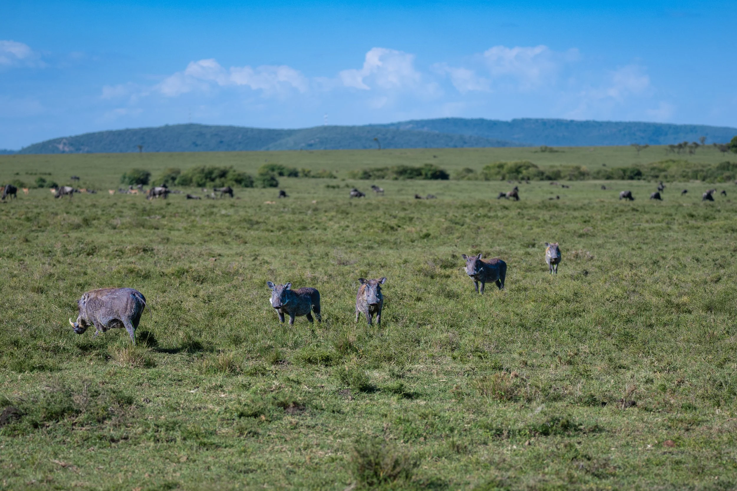 Africa2026VZ8_43142026.jpg