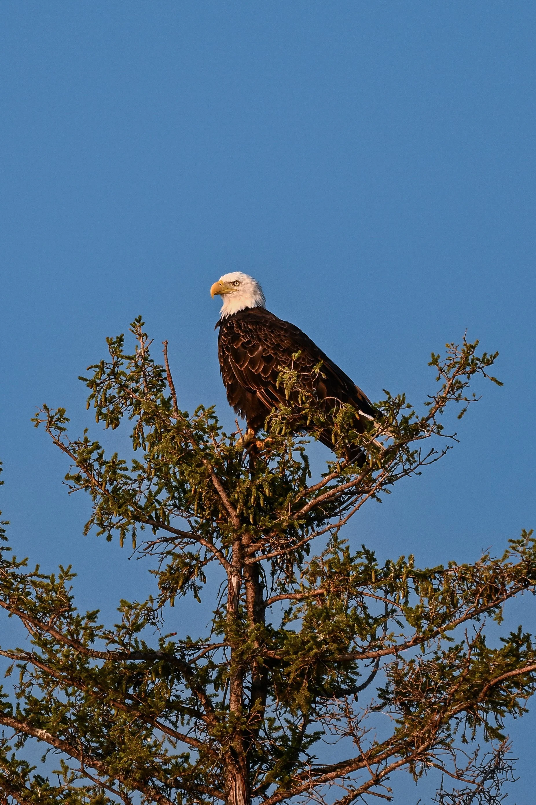20260727-VZ8_7267.jpg