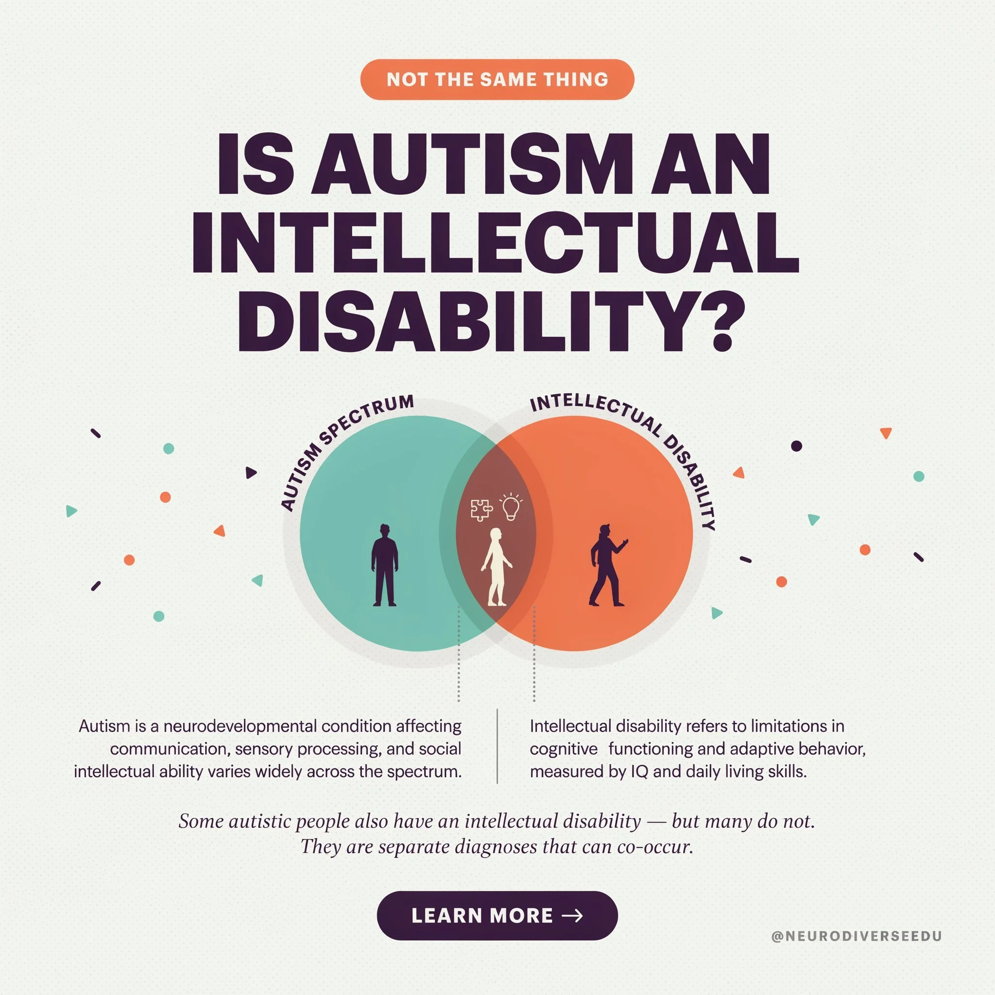 Is Autism an Intellectual Disability? What Parents Need to Know