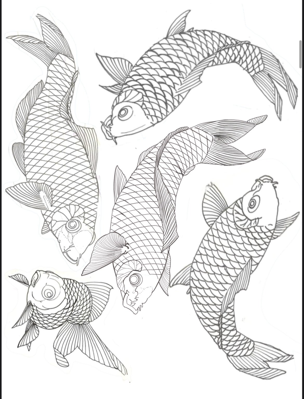 Jason June design of Koi fishes from the tattoo design book.
