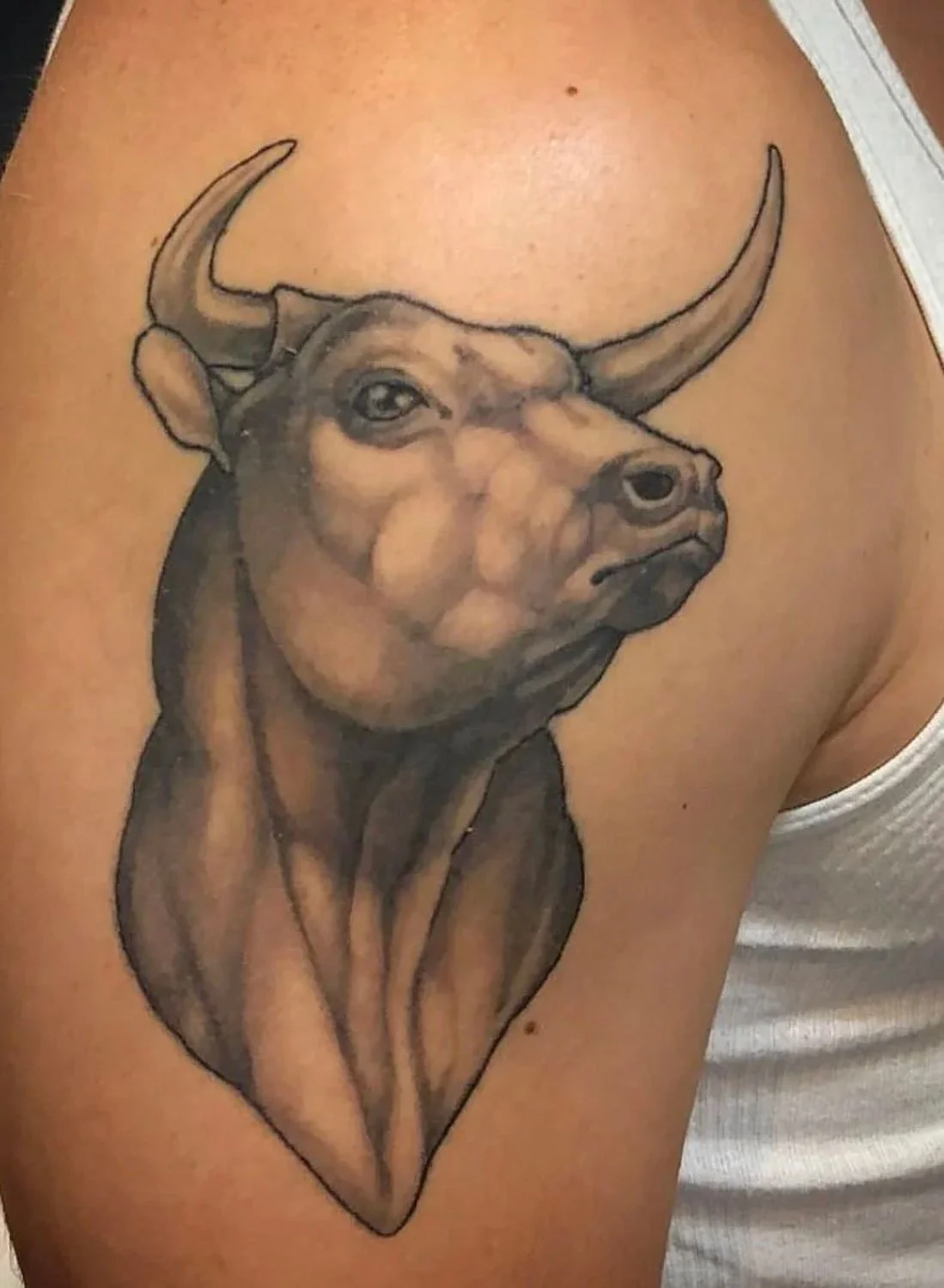  Realistic cow tattoo in upper-arm in fine-line, realistic style. 