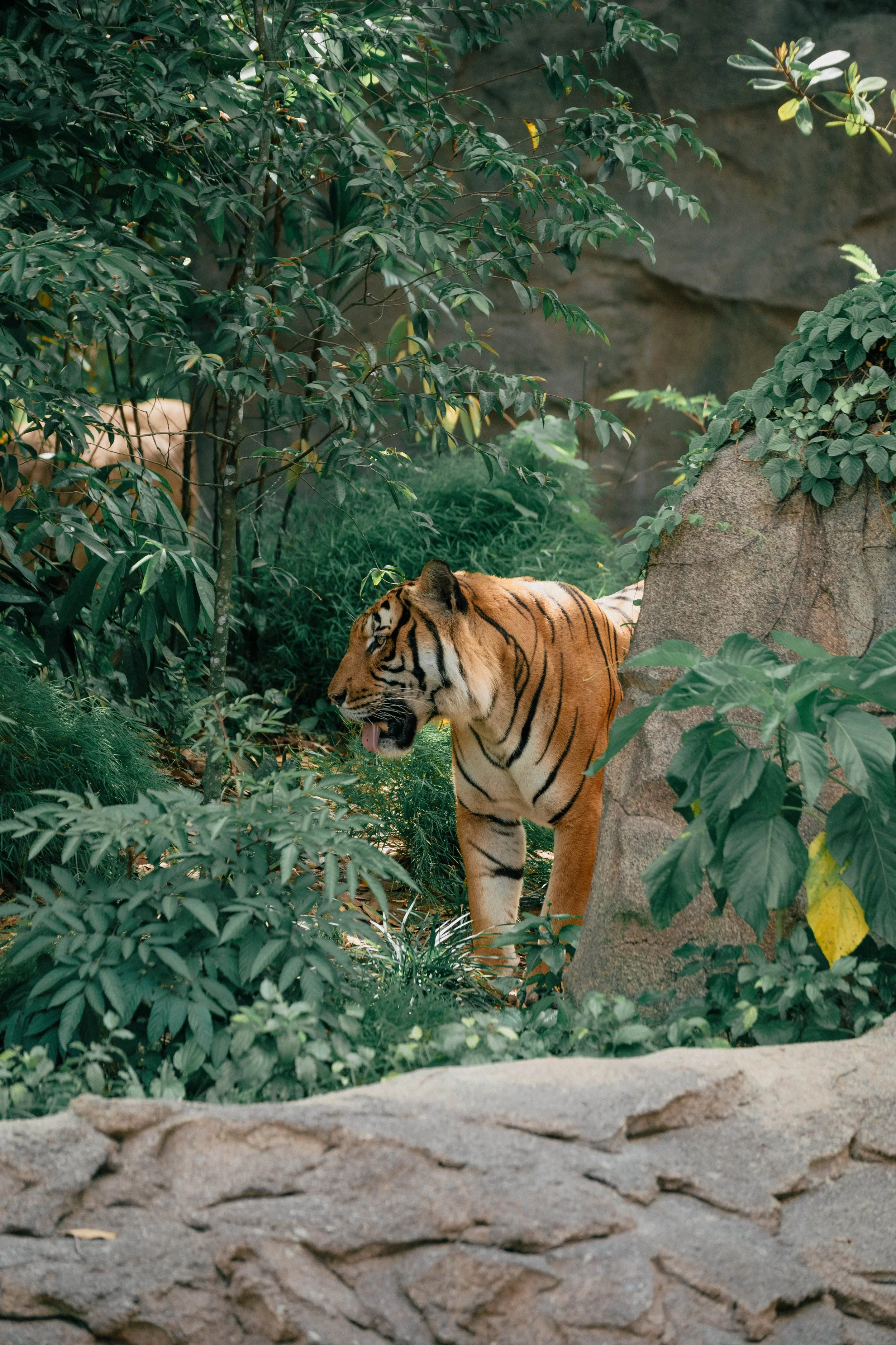 DSC_2422.jpg