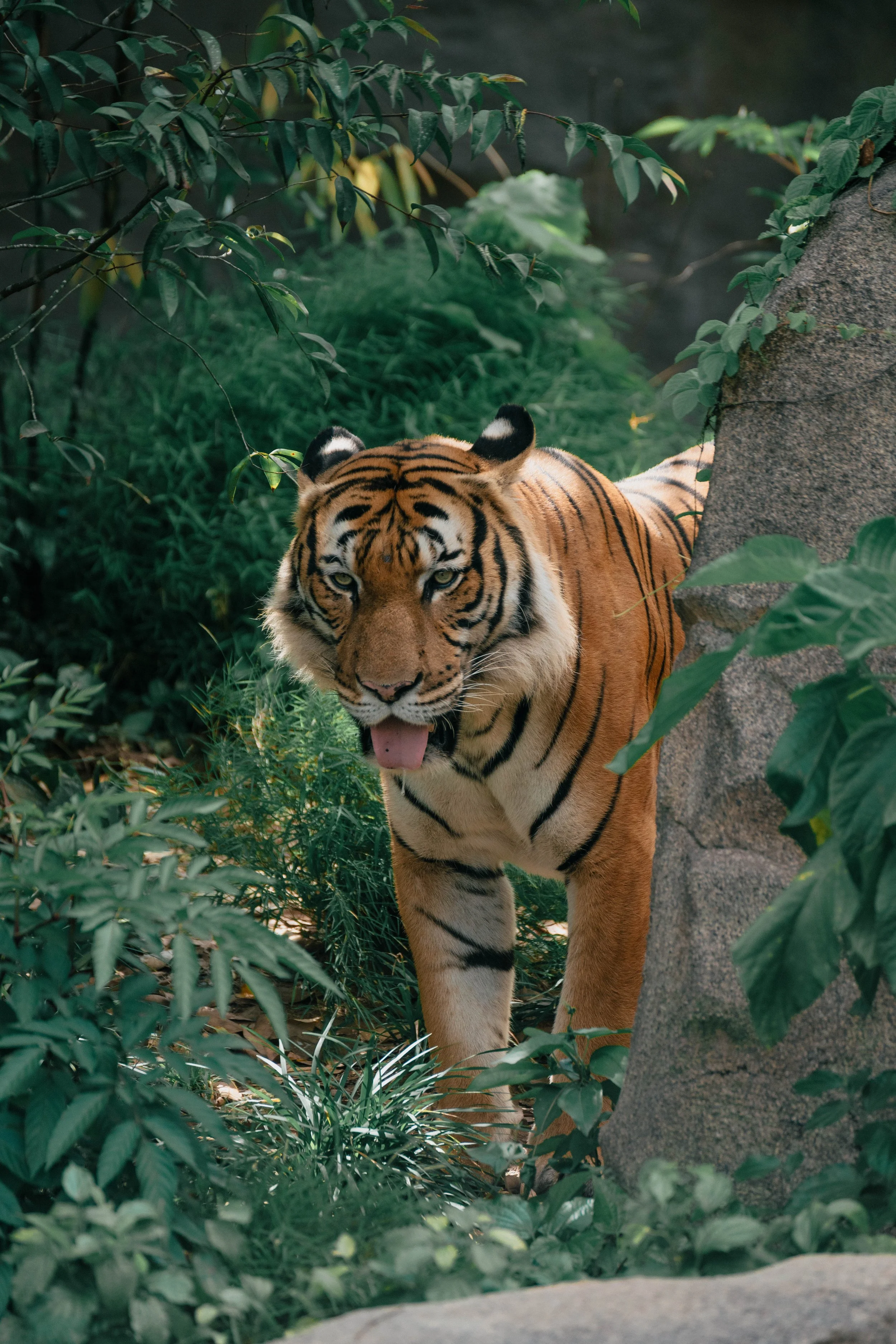 DSC_2423.jpg