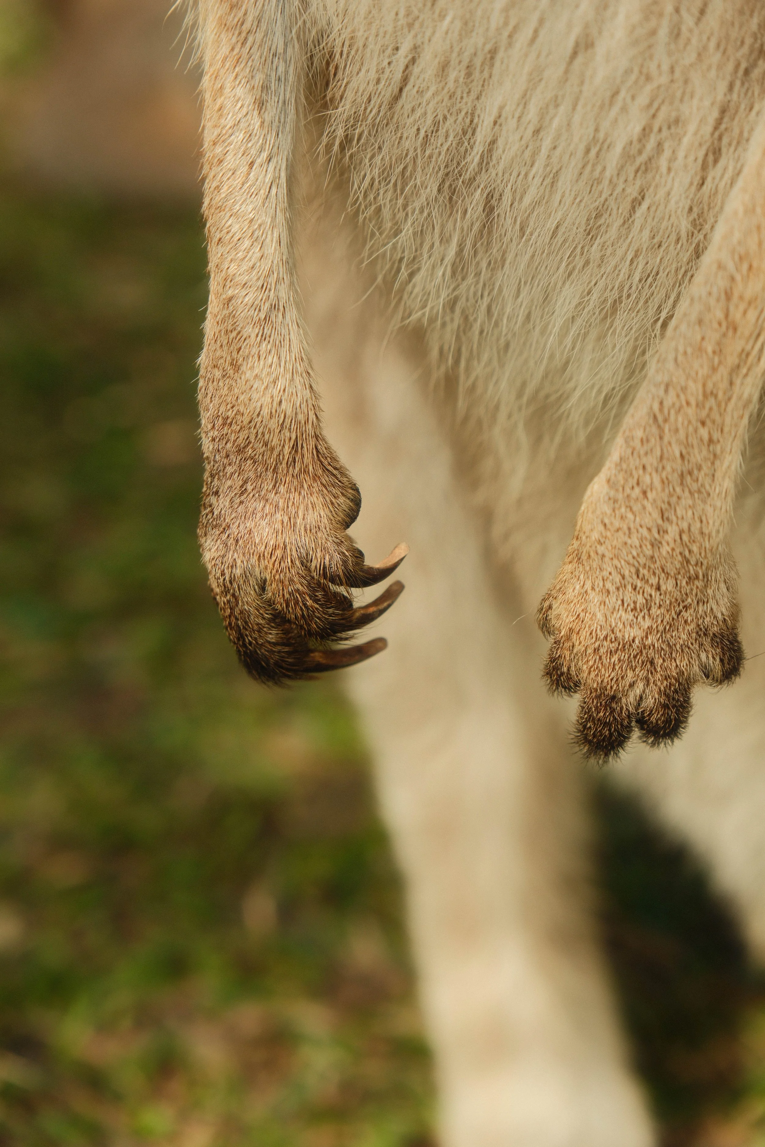 DSCF2316-2.jpg