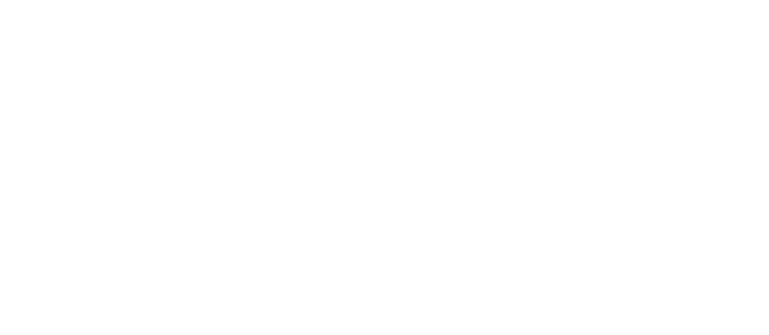 The Big Travel Group