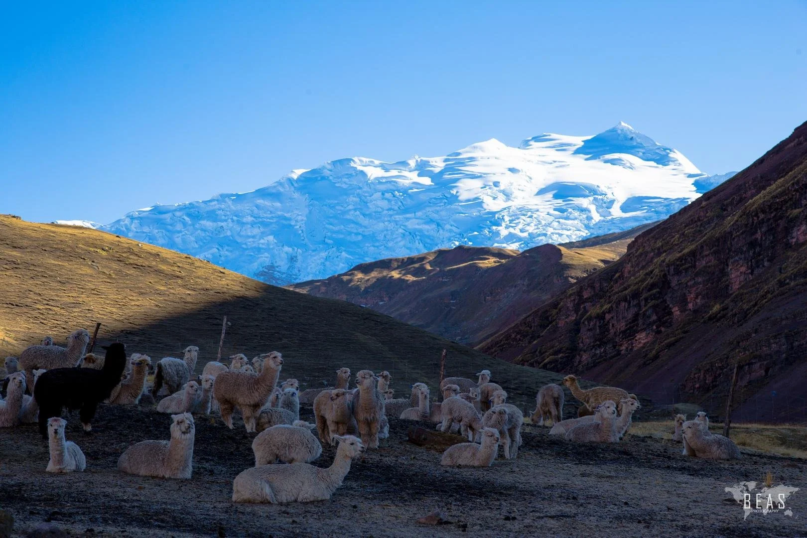 andes landscape.jpg