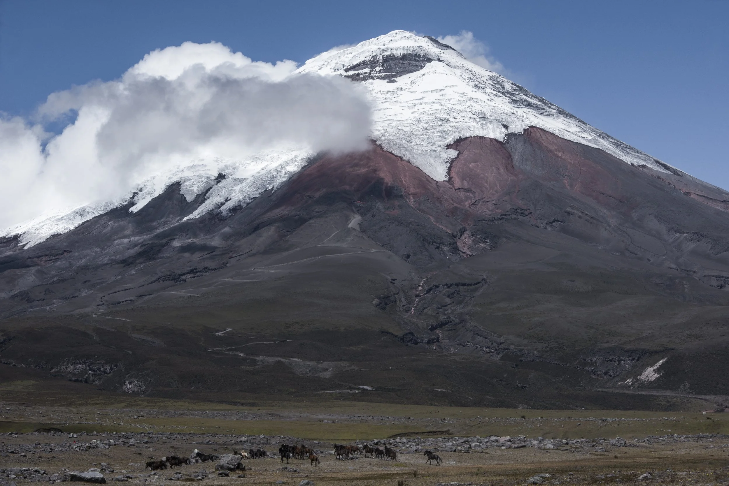 PREMIUM COTOPAXI BIKE TOUR