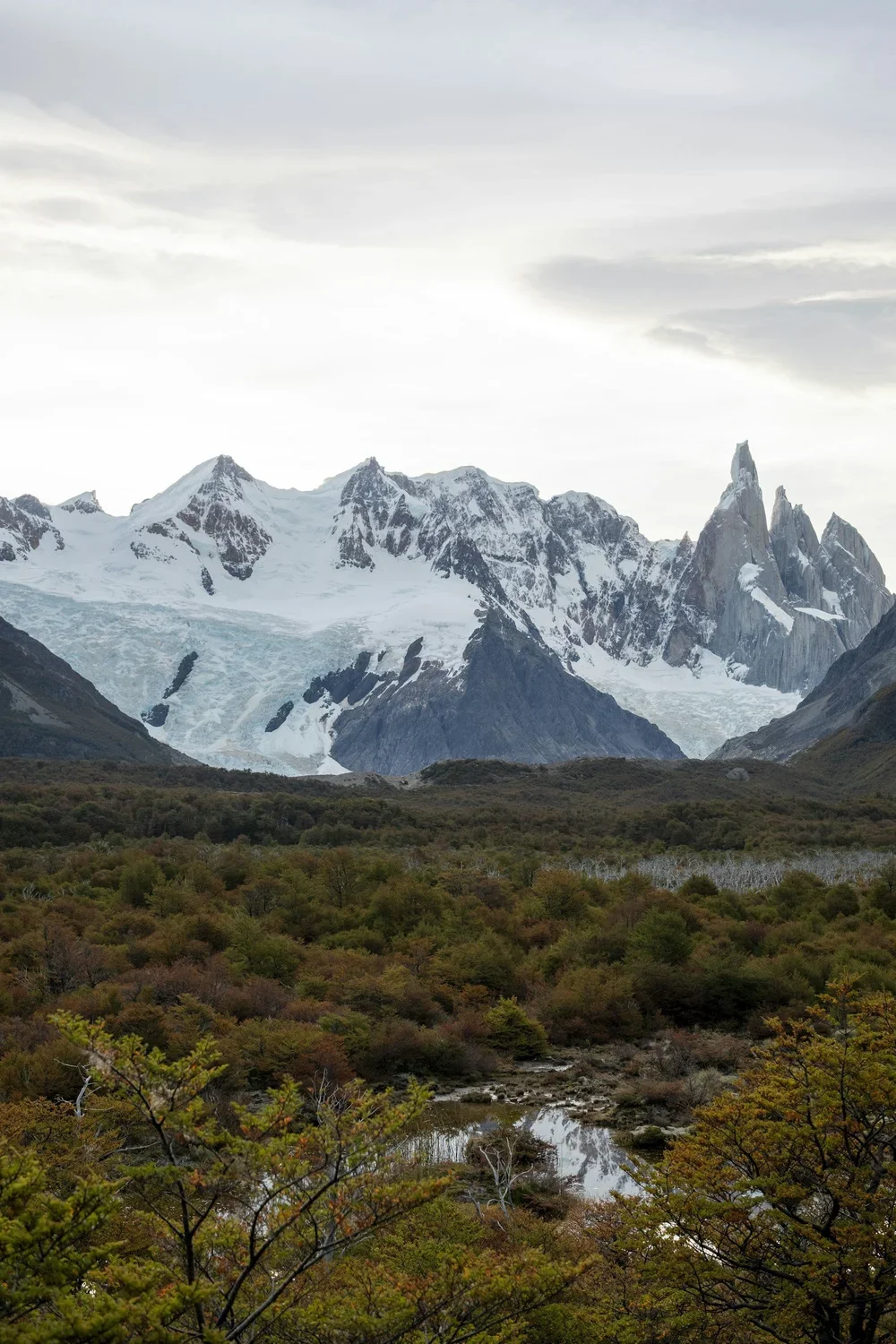 Cycling Patagonia Solo vs. With a Small Group: Which Is Right for You?