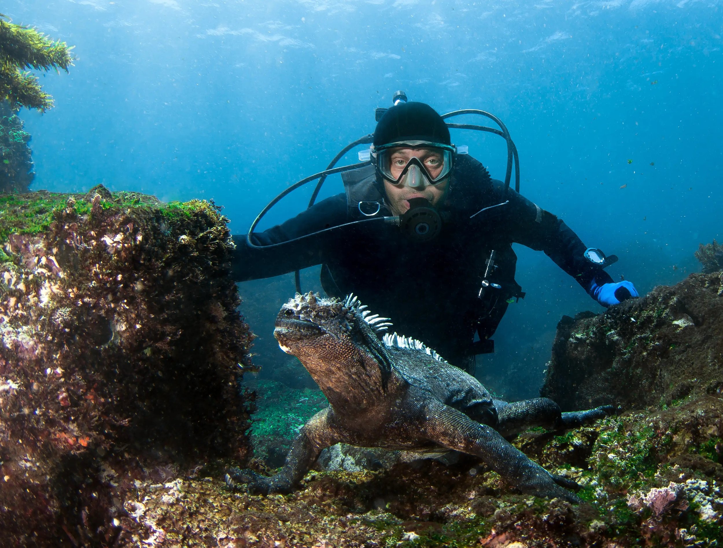 7-days-diving-and-hiking-in-galapagos (1).jpg