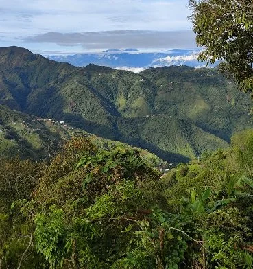 Medellin 5.2jpg.jpg