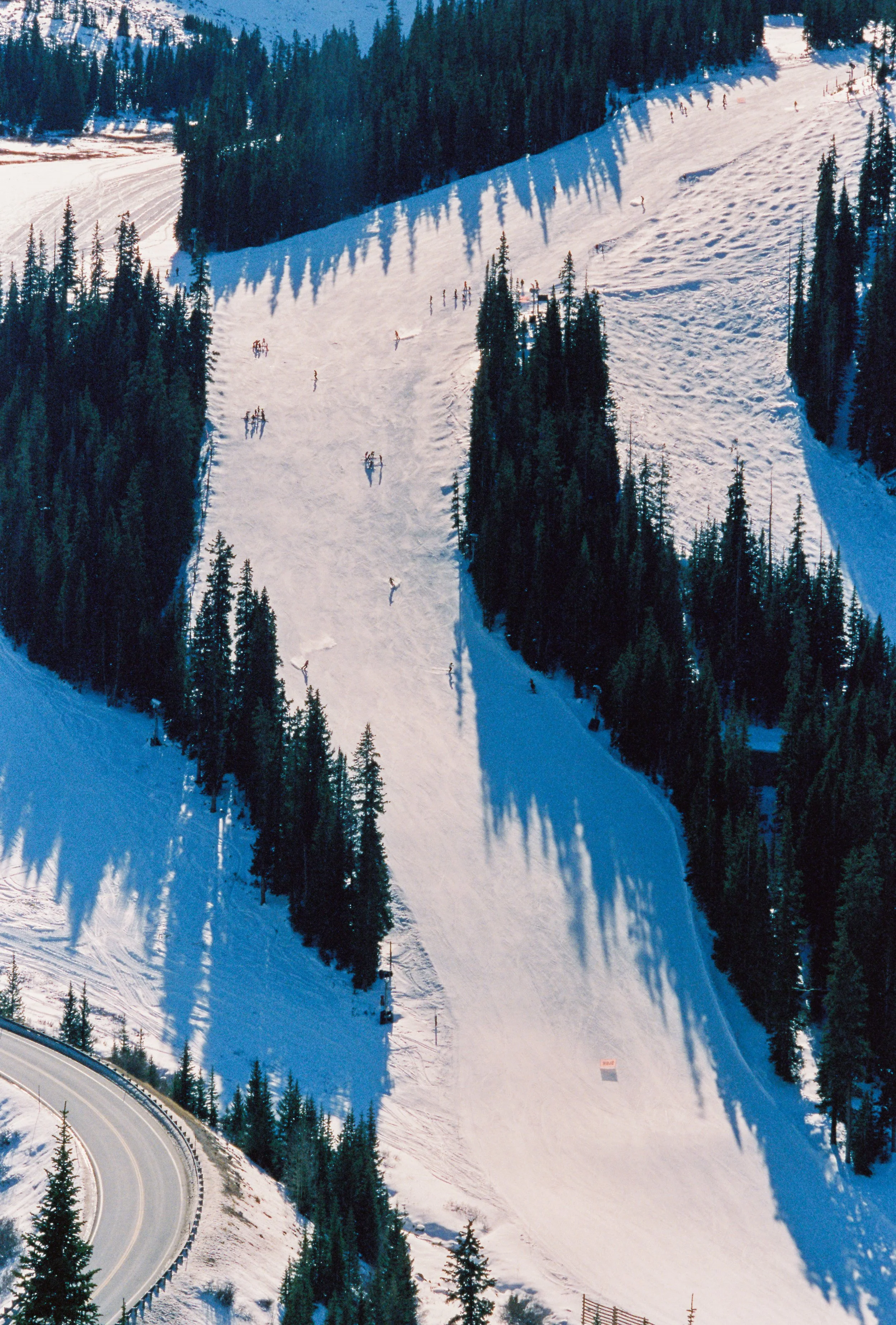 Ski slope with skiers and snowboarders descending a snowy mountain surrounded by evergreen trees, with a winding road at the bottom.