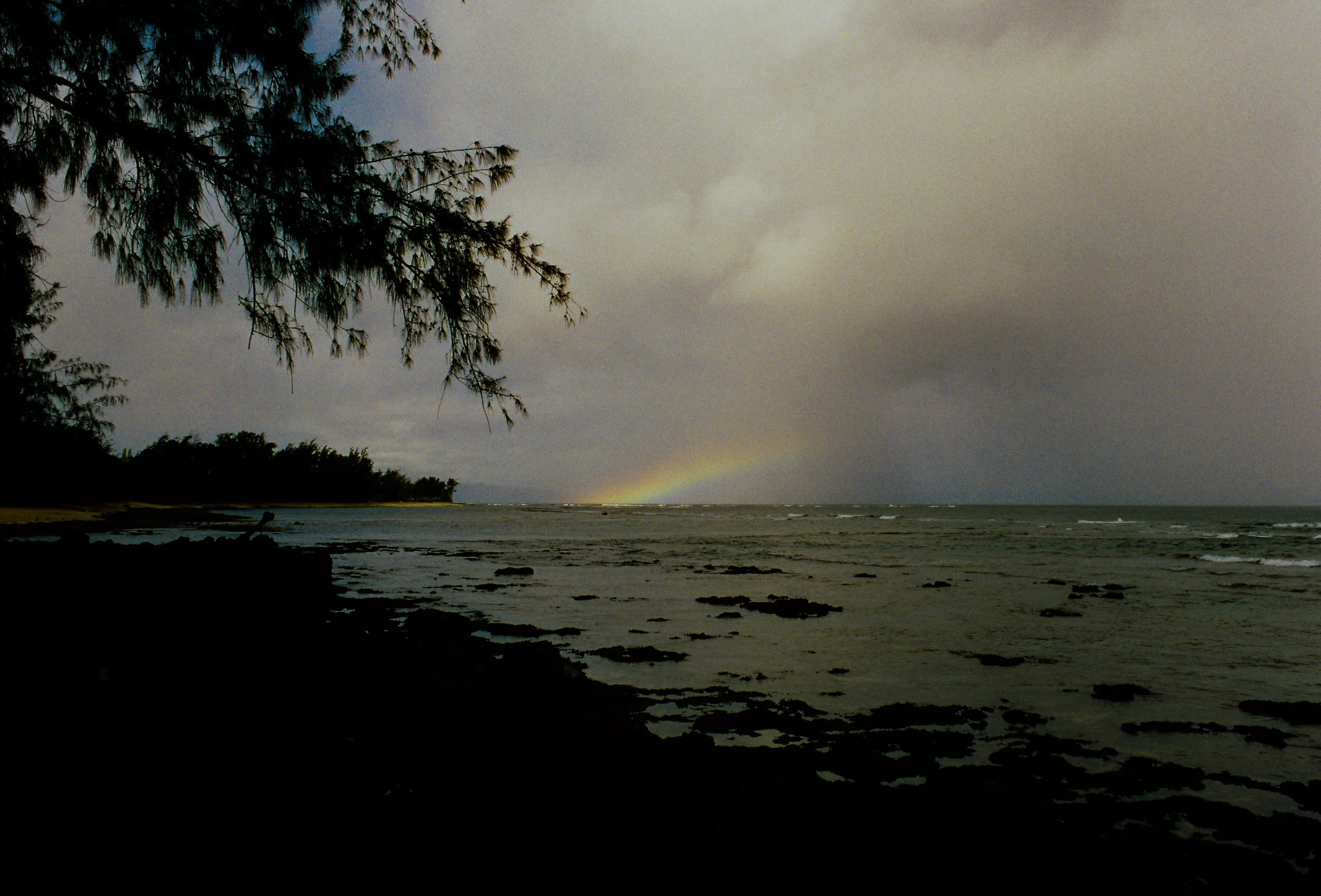 A coastal scene with a cloudy sky, a faint rainbow near the horizon, dark rocks along the shore, and overhanging tree branches in the foreground.
