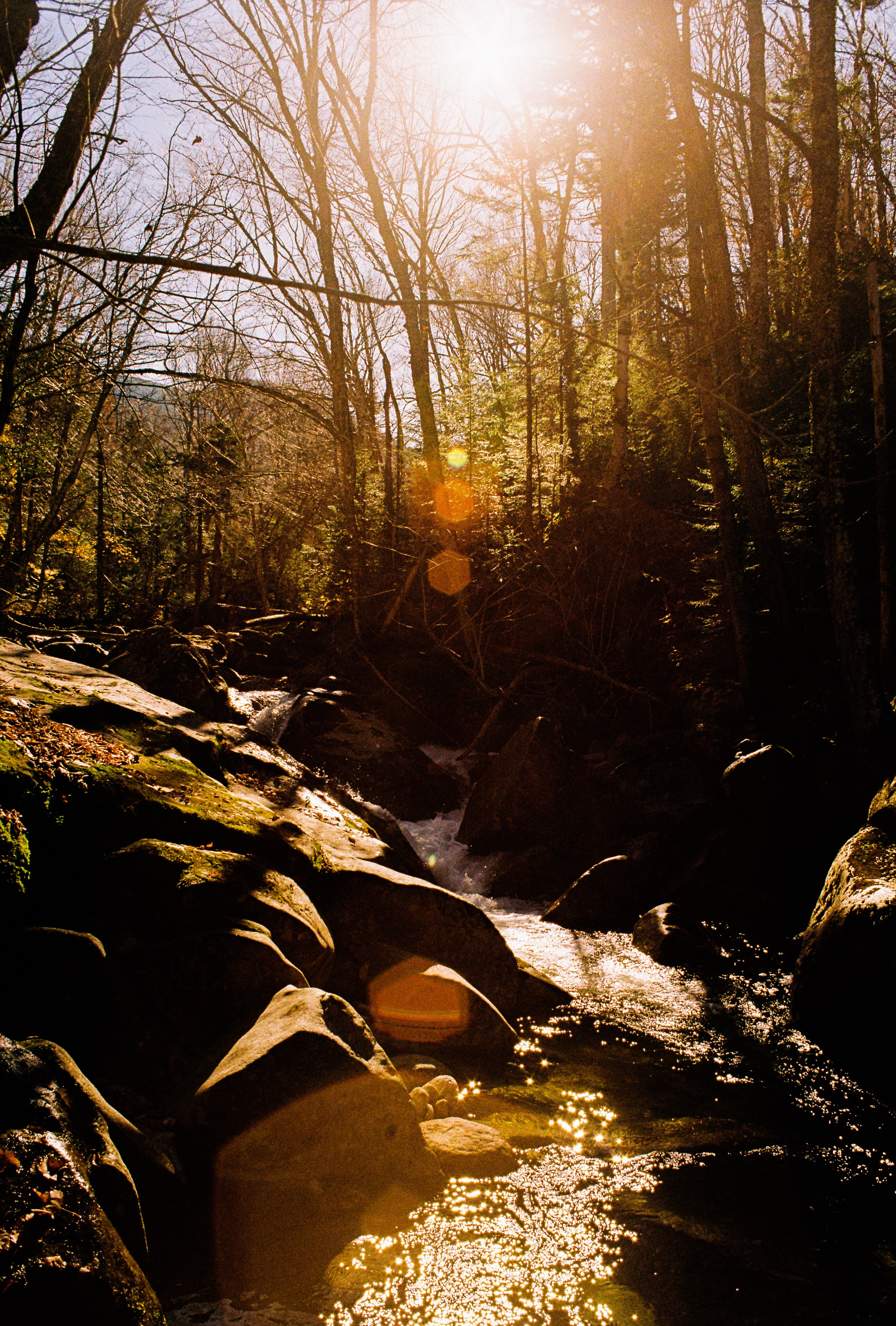 Sunlight filtering through tall, leafless trees over a rocky stream in a forest.