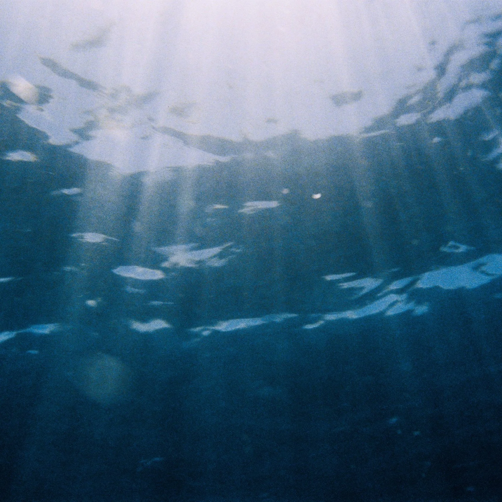 Under Water Sun Rays