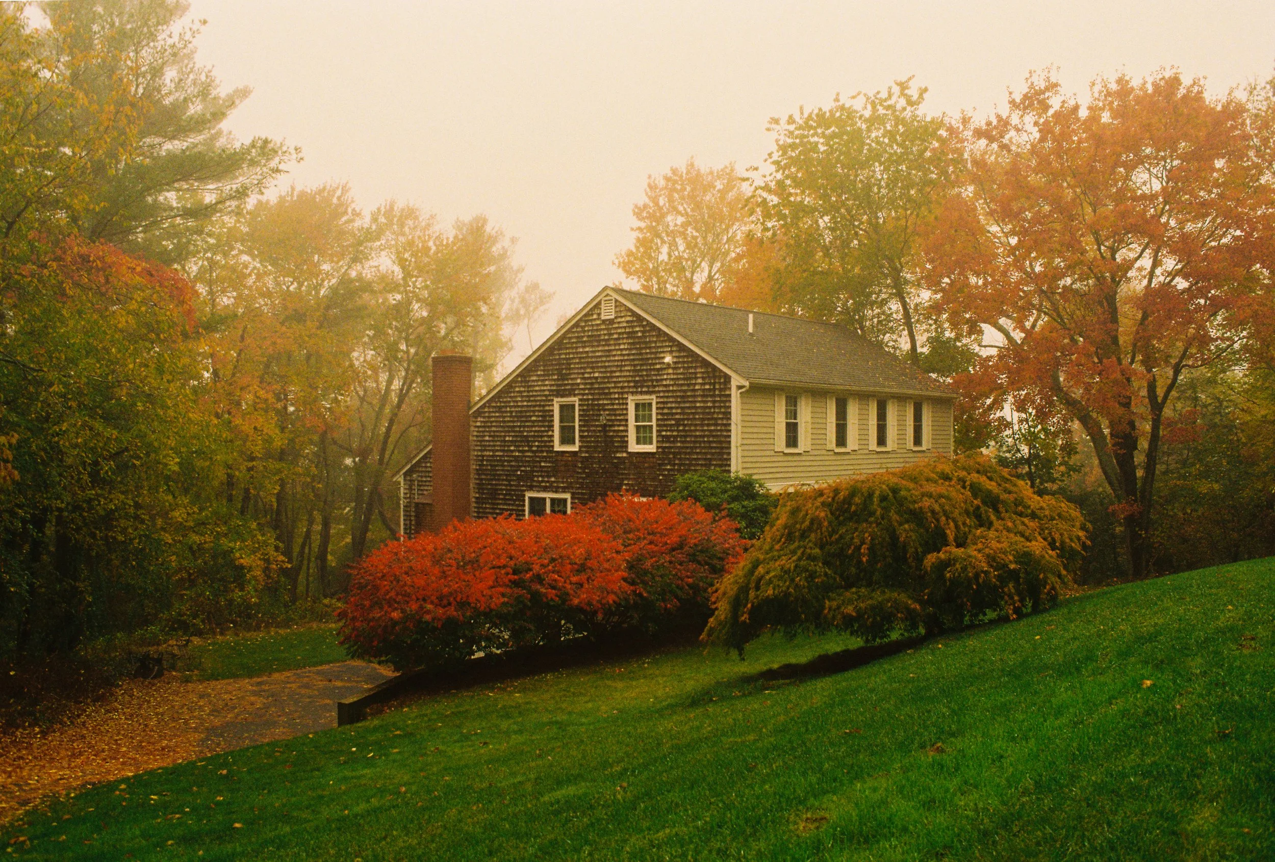 A house surrounded by trees with autumn foliage, some of the trees have orange and red leaves, and the house has a brown and beige exterior, with a green lawn and a foggy atmosphere.