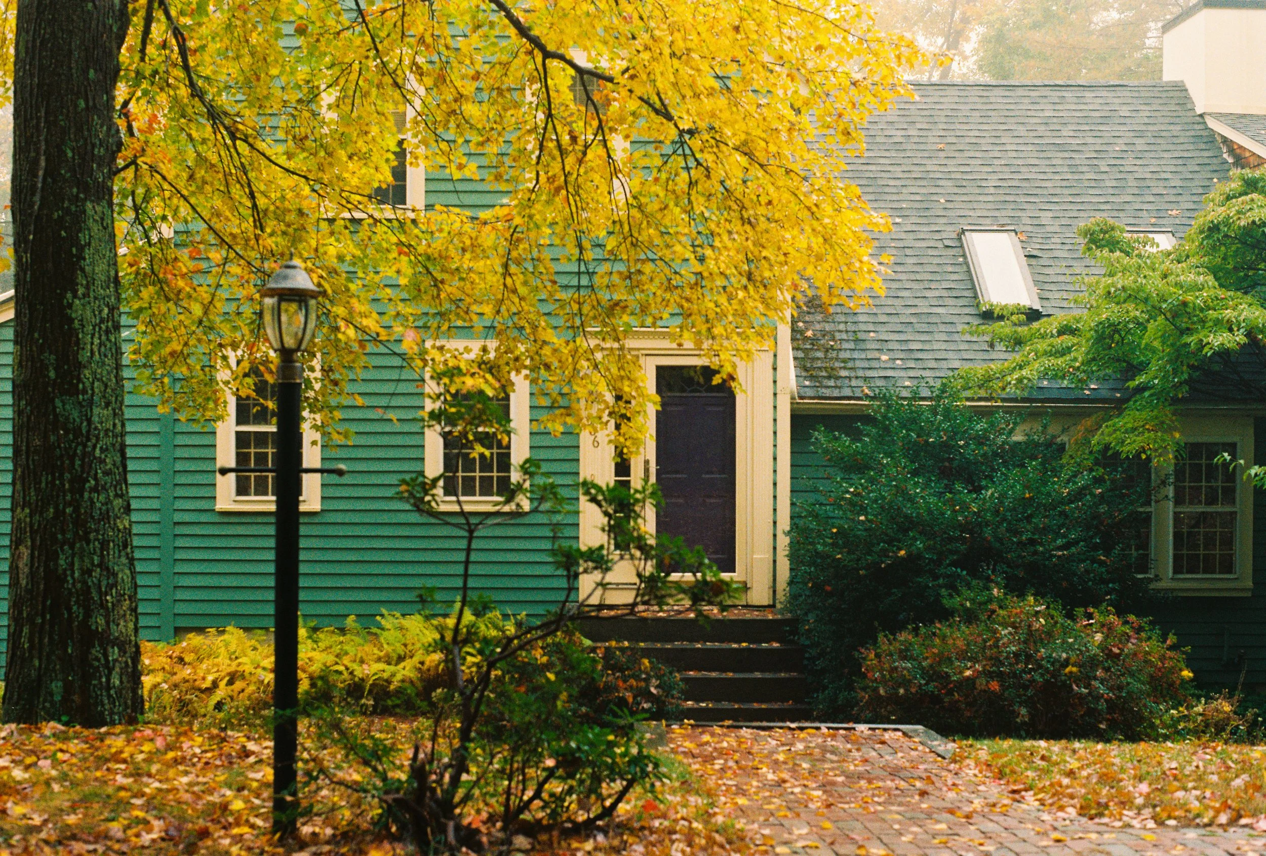 A house with a teal exterior, white trim, black door, and boarded-up window. The front yard has fallen leaves, bushes, and a lamp post, with a tree with yellow leaves in front.