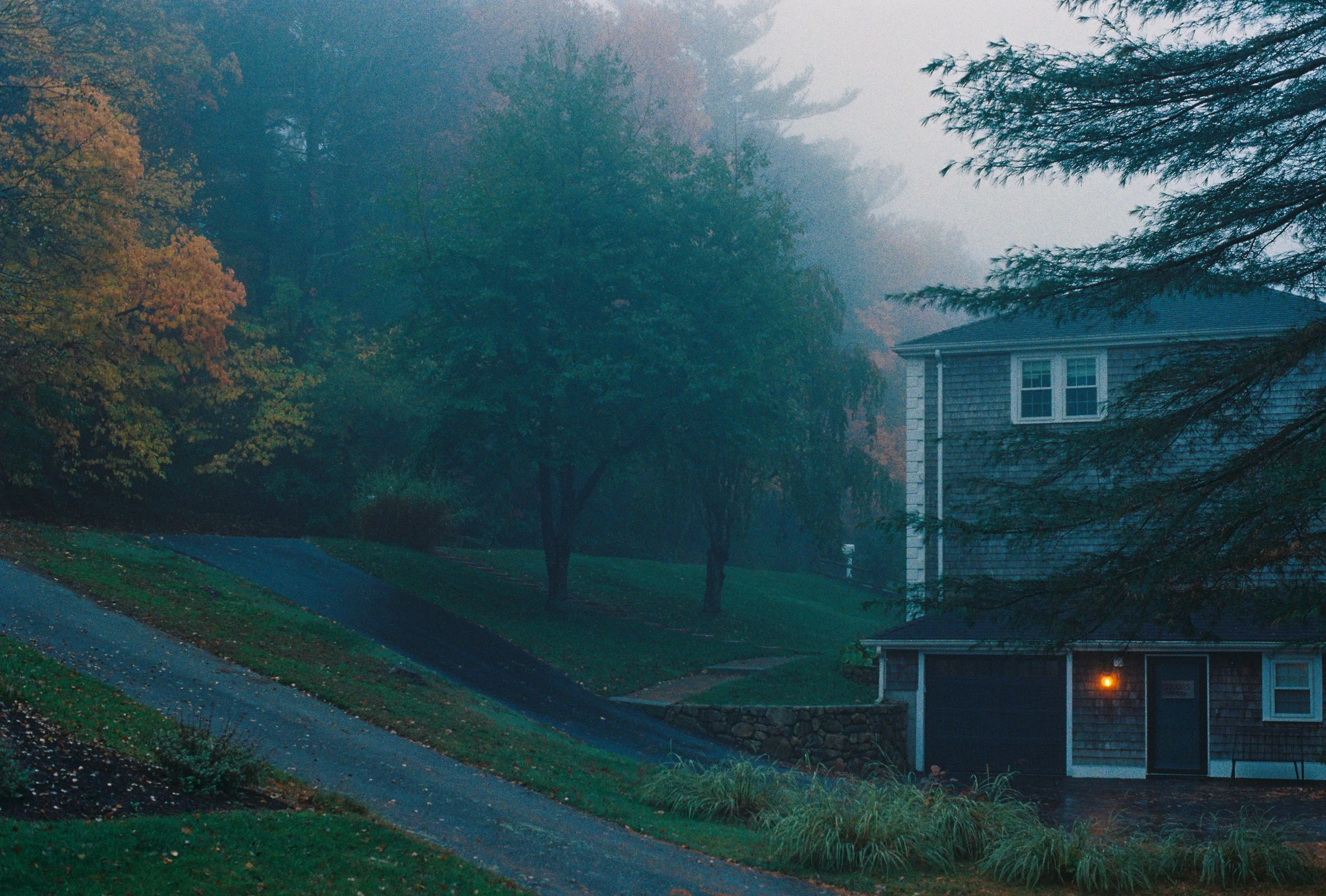 A foggy suburban street scene with a house on the right, trees with fall foliage, and a winding sidewalk or driveway in the foreground.