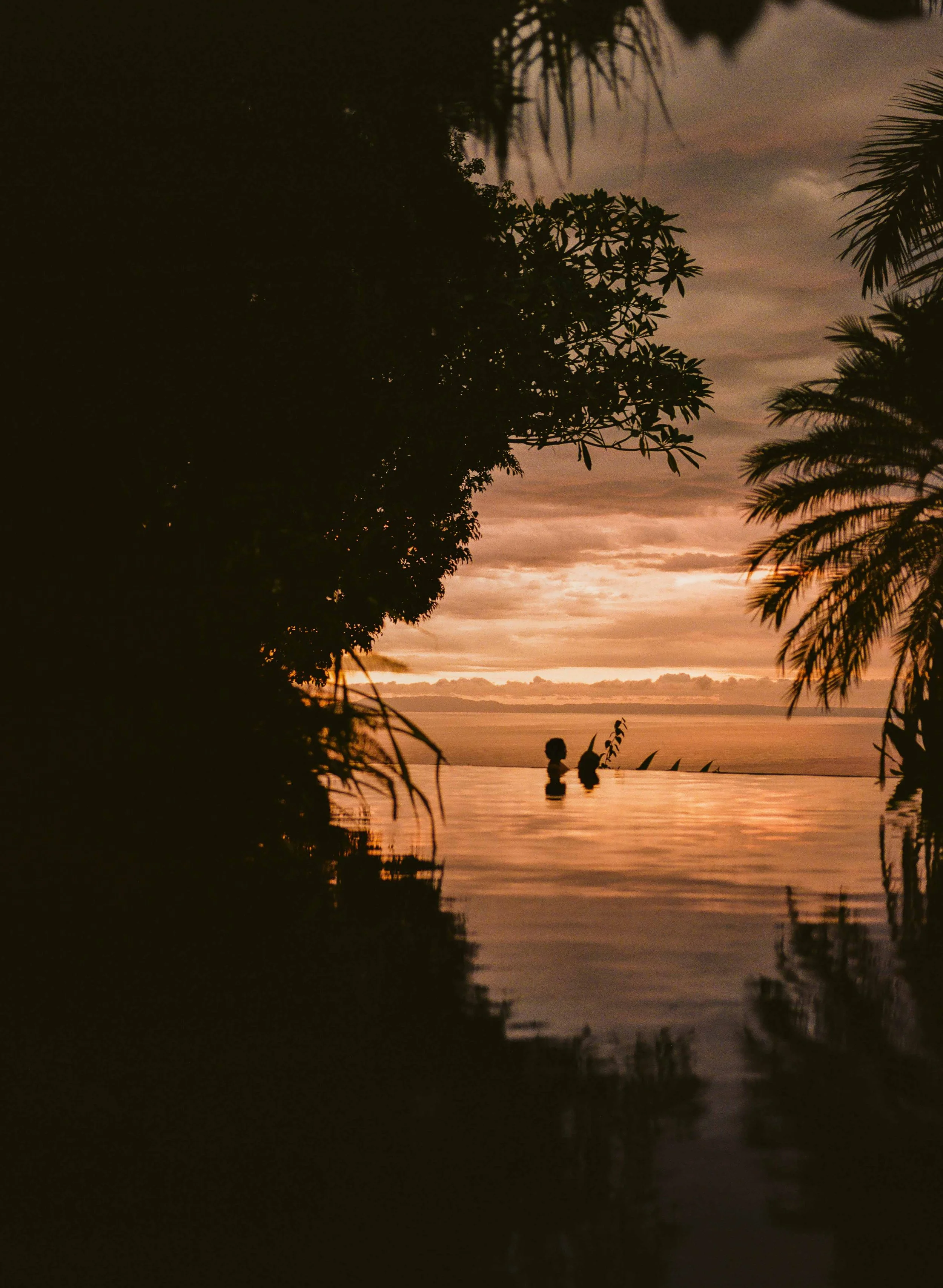 Silhouette of two children in a pool at sunset, surrounded by tropical plants and trees.