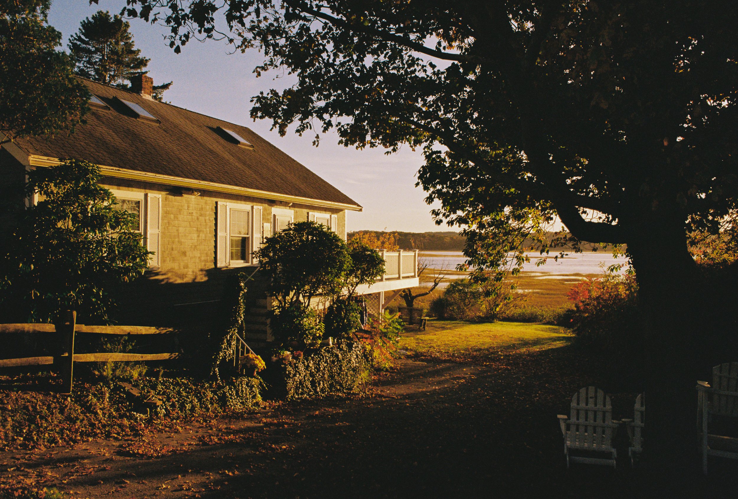 A house with shingles and shutters overlooking a yard and water, with trees and shrubs, during sunset.