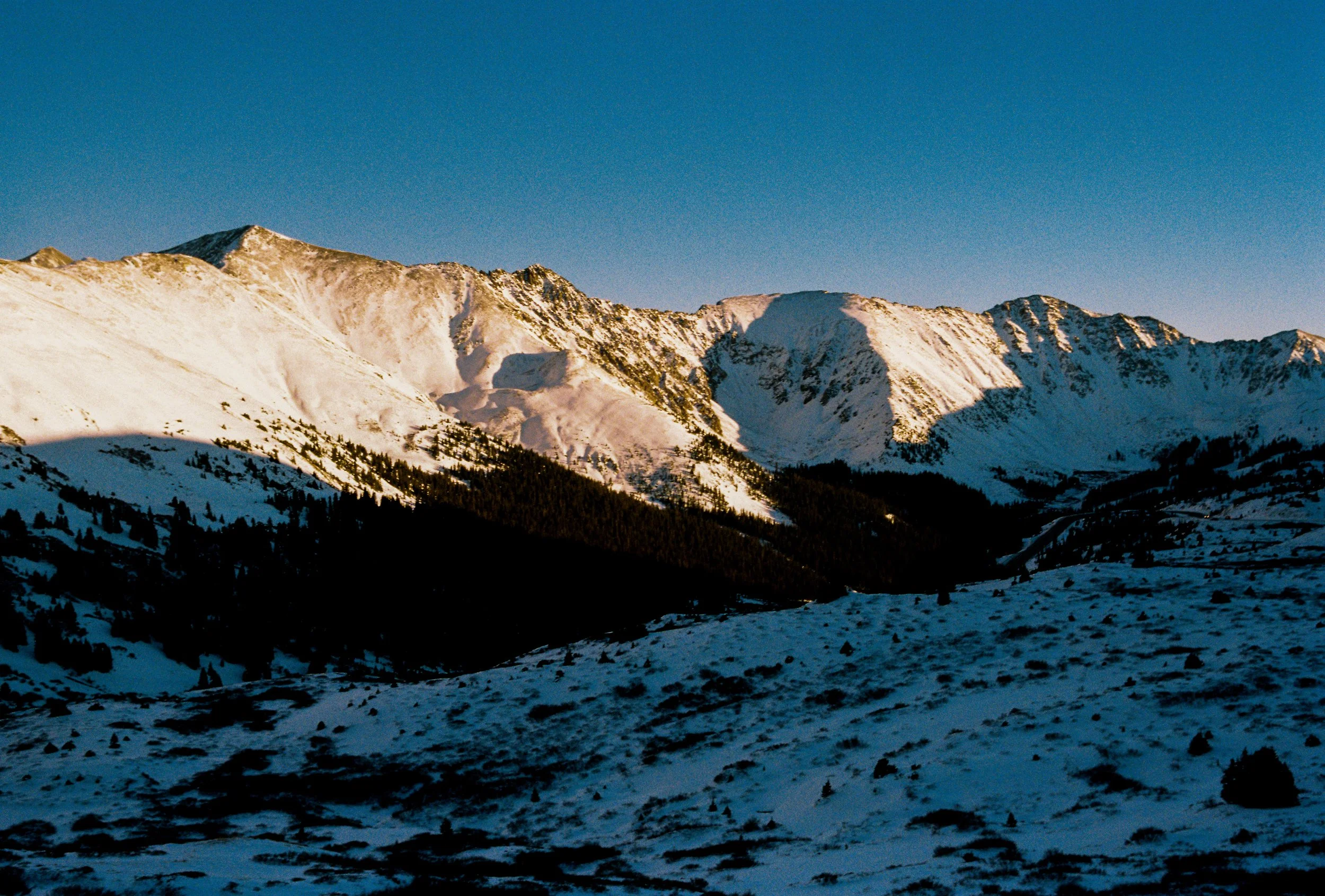 Snow-covered mountain range under a clear blue sky, with dark forested slopes in the foreground.